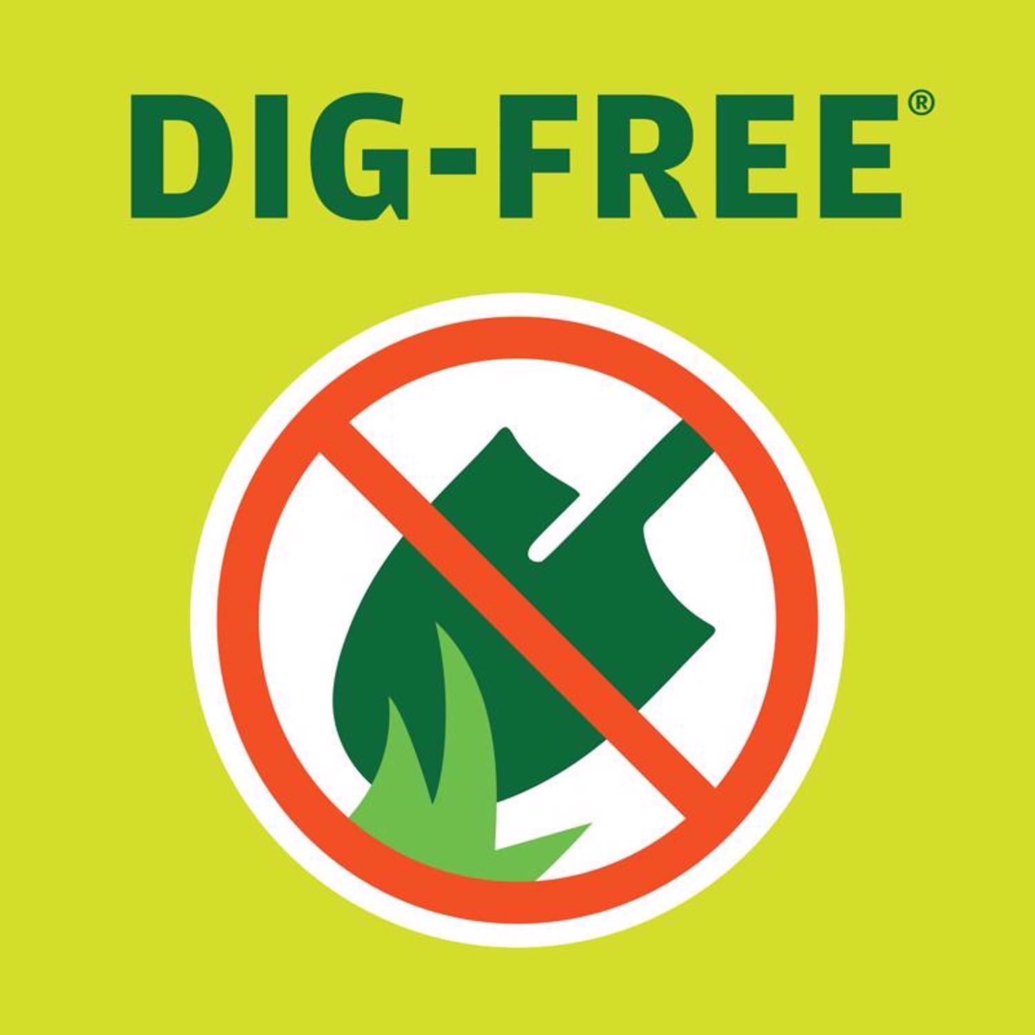 Master Mark 20 ft. L X 6 in. H Plastic Black Poundable Edging