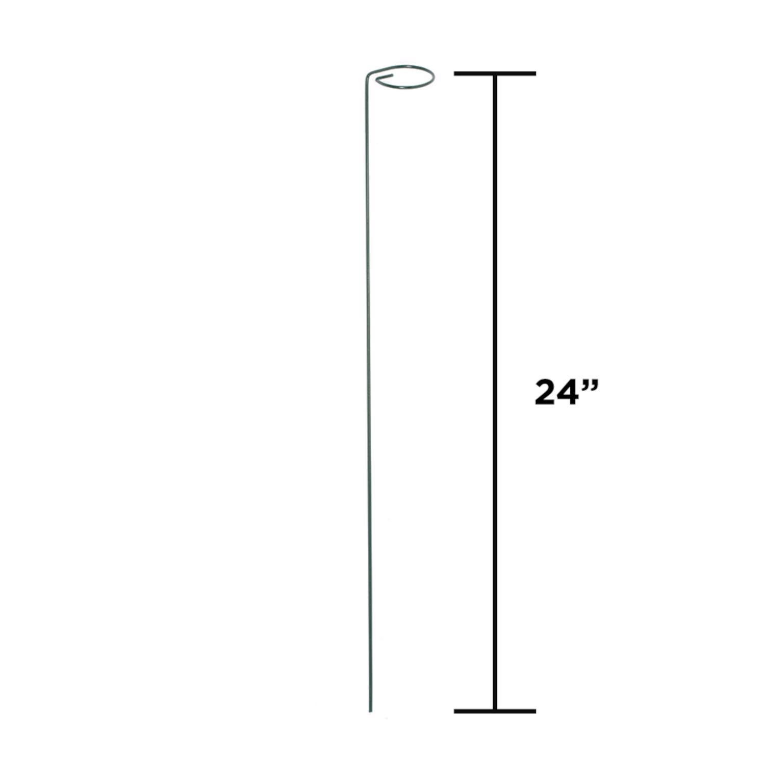 Panacea 24 in. H X 2 in. ft. W Green Steel Plant Support