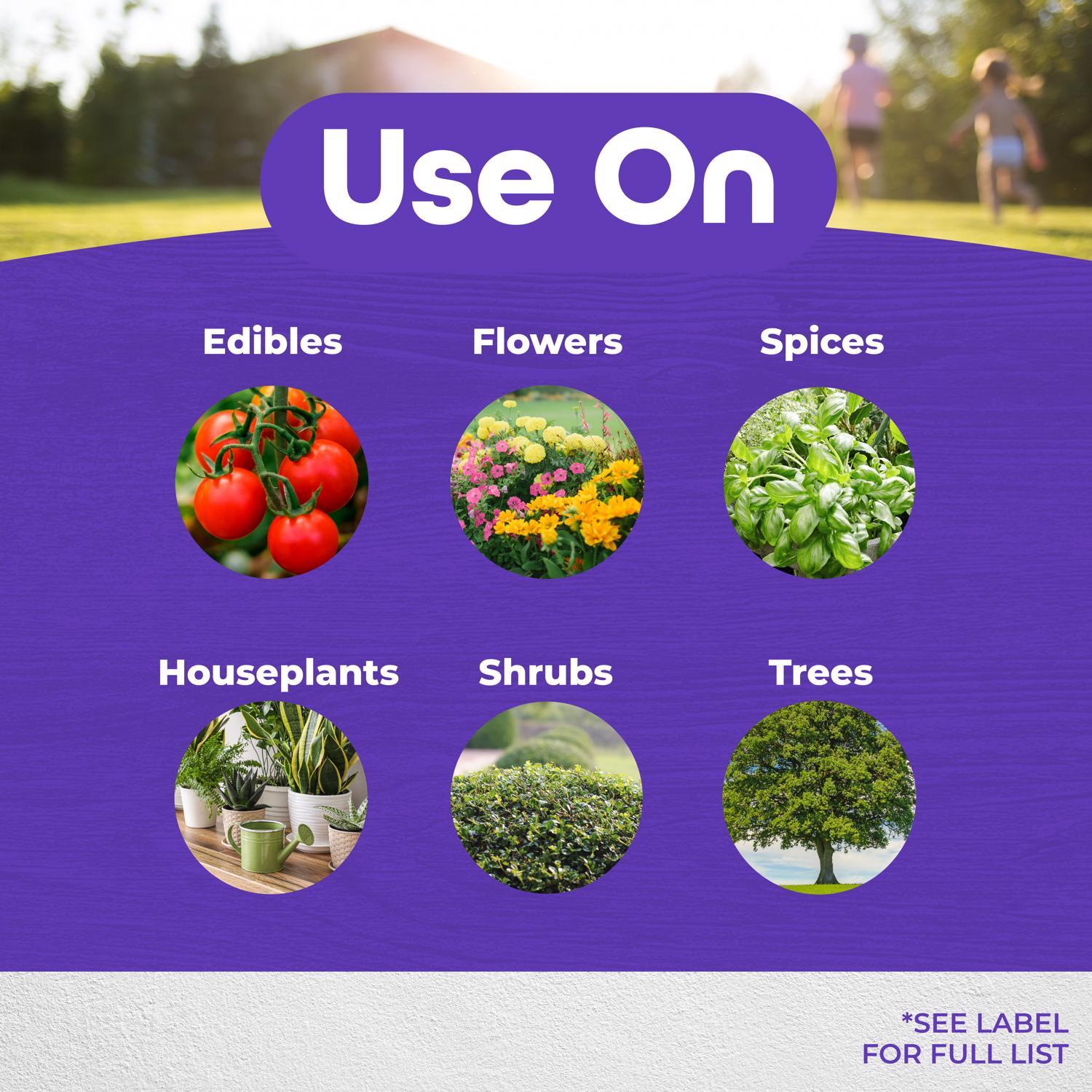 Bonide Bon-Neem II Organic 3 in 1 Garden Insect Spray Liquid 32 oz