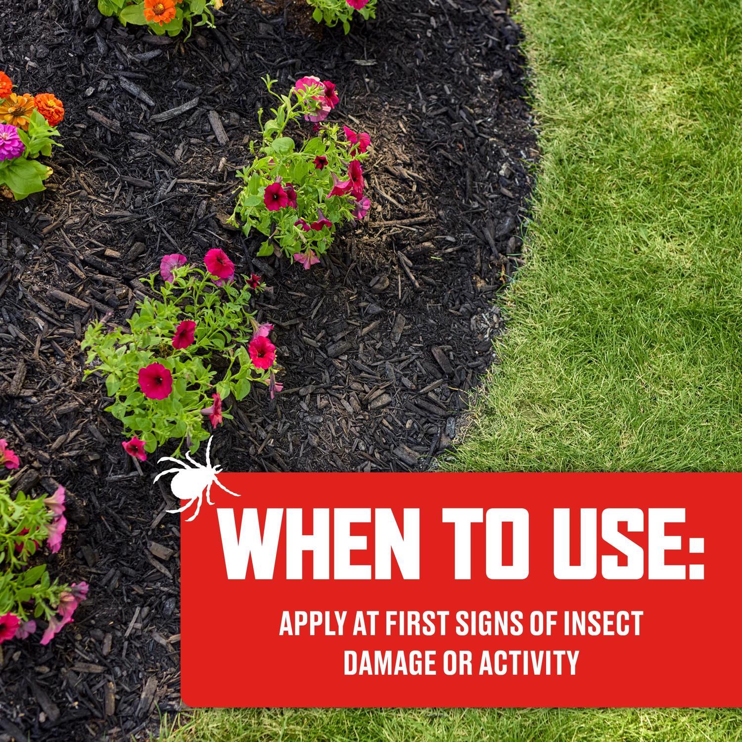 Ortho BugClear Insect Killer Granules 10 lb