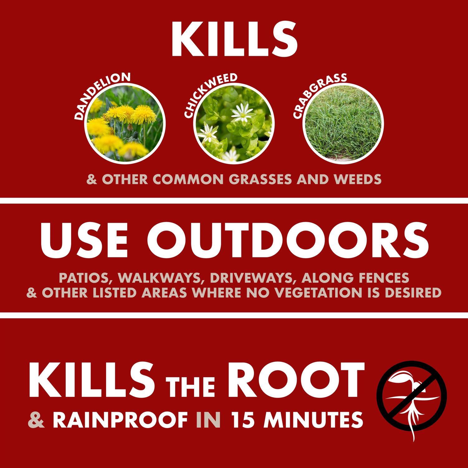 Spectracide Weed and Grass Killer RTU Liquid 1 gal