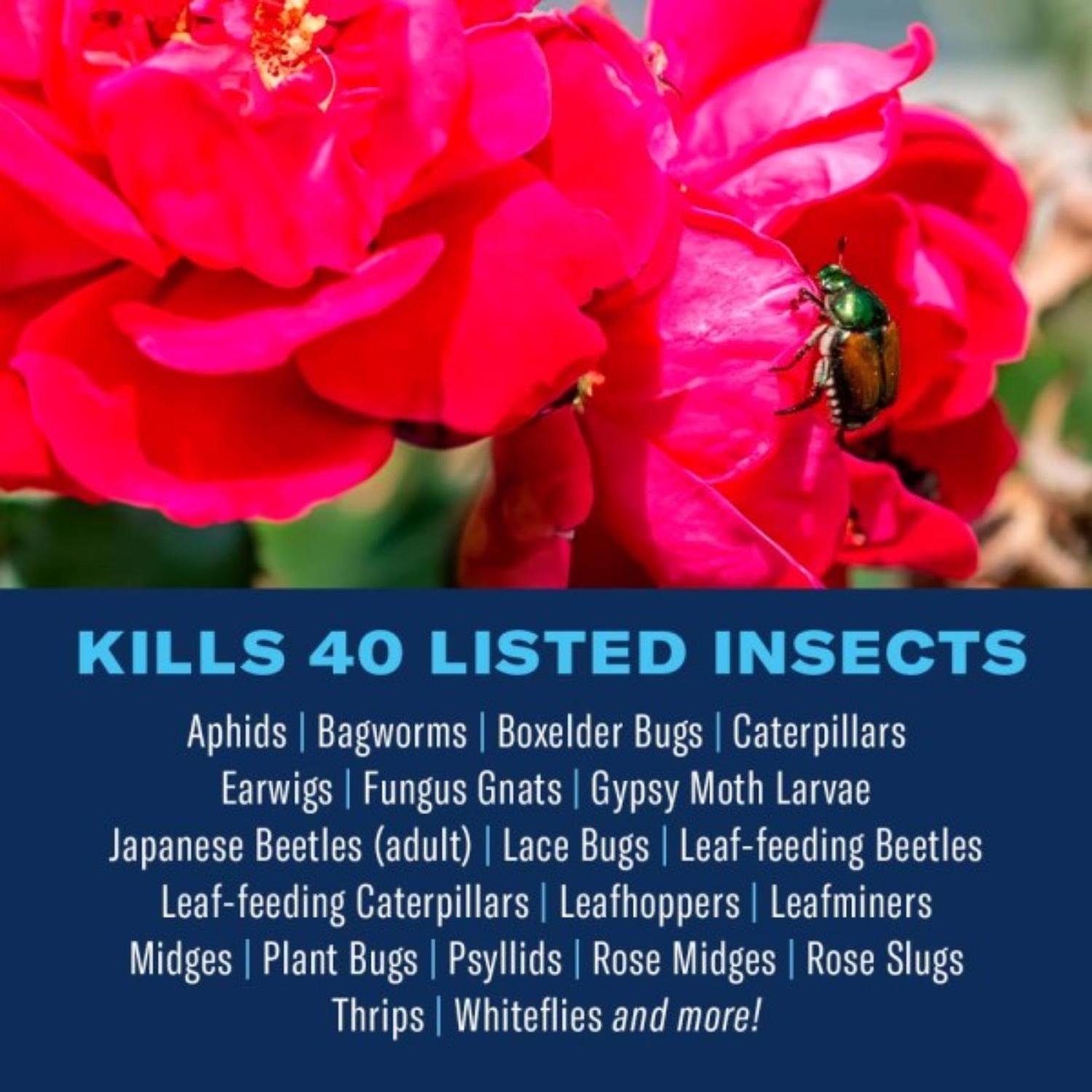 BioAdvanced Ready-to-Use, Dual Action Rose and Flower Insect Killer Liquid 24 oz