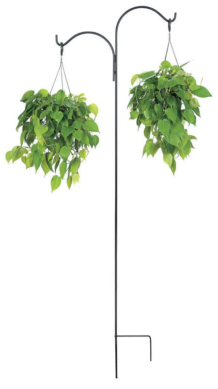 Panacea Black Steel 84 in. H Double Crook and Shepherd Leaf Plant Hook 1 pk