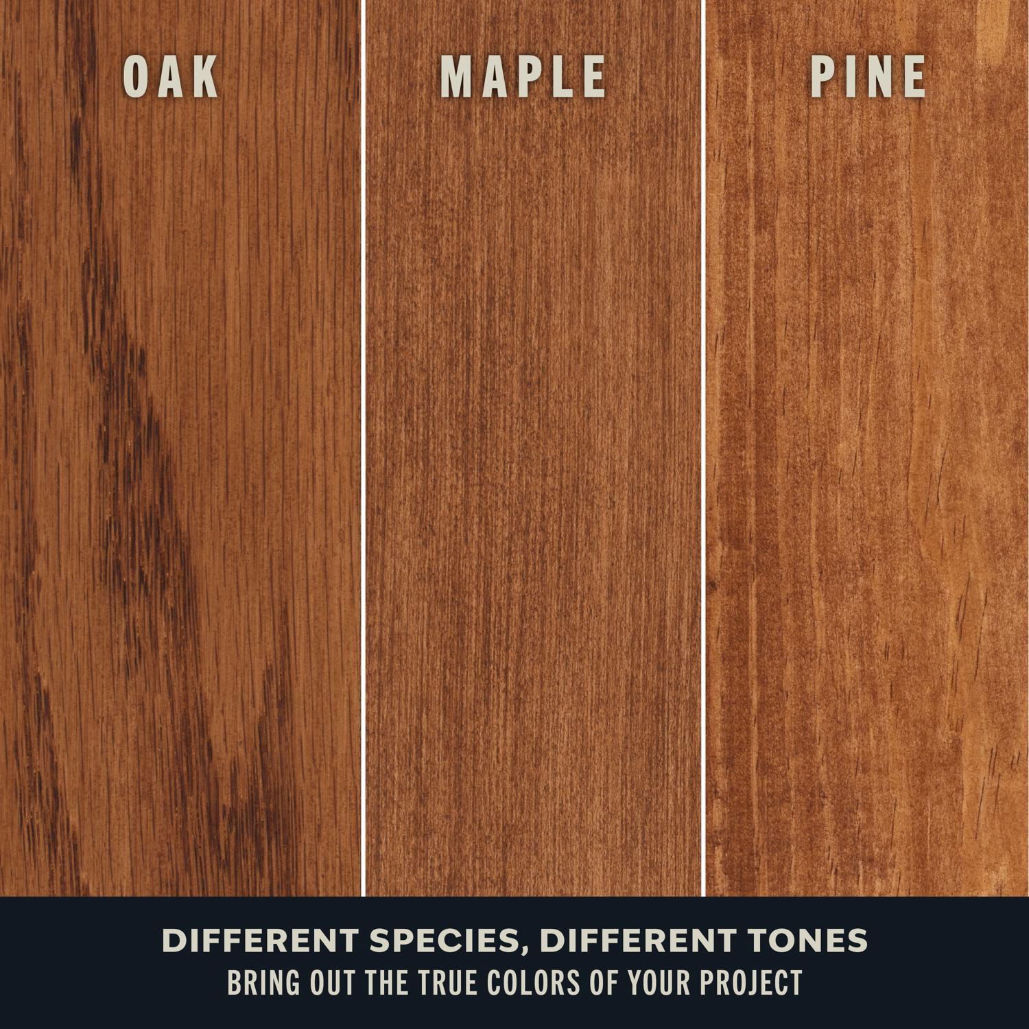 Varathane Premium Golden Mahogany Oil-Based Fast Dry Wood Stain 1/2 pt