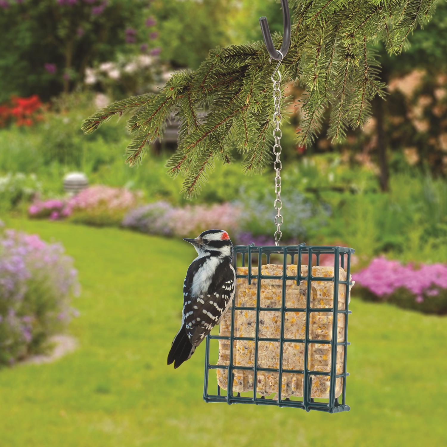 Woodlink Wild Bird Metal Suet Cage