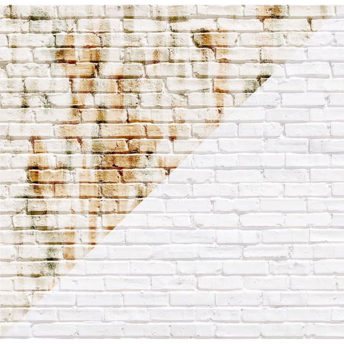 Drylok White Bonding Primer 1 gal