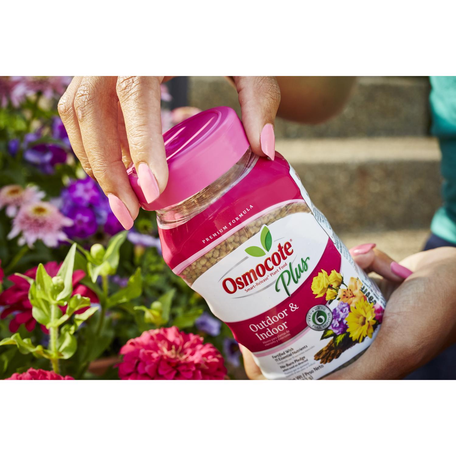 Osmocote Smart-Release Flower & Vegetable Granules Plant Food 1 lb