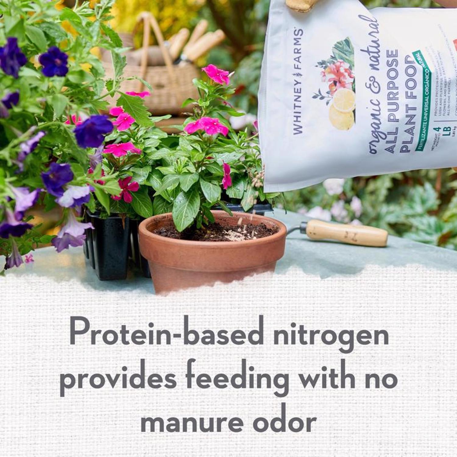 Whitney Farms Organic Granules All Purpose Plant Food 4 lb