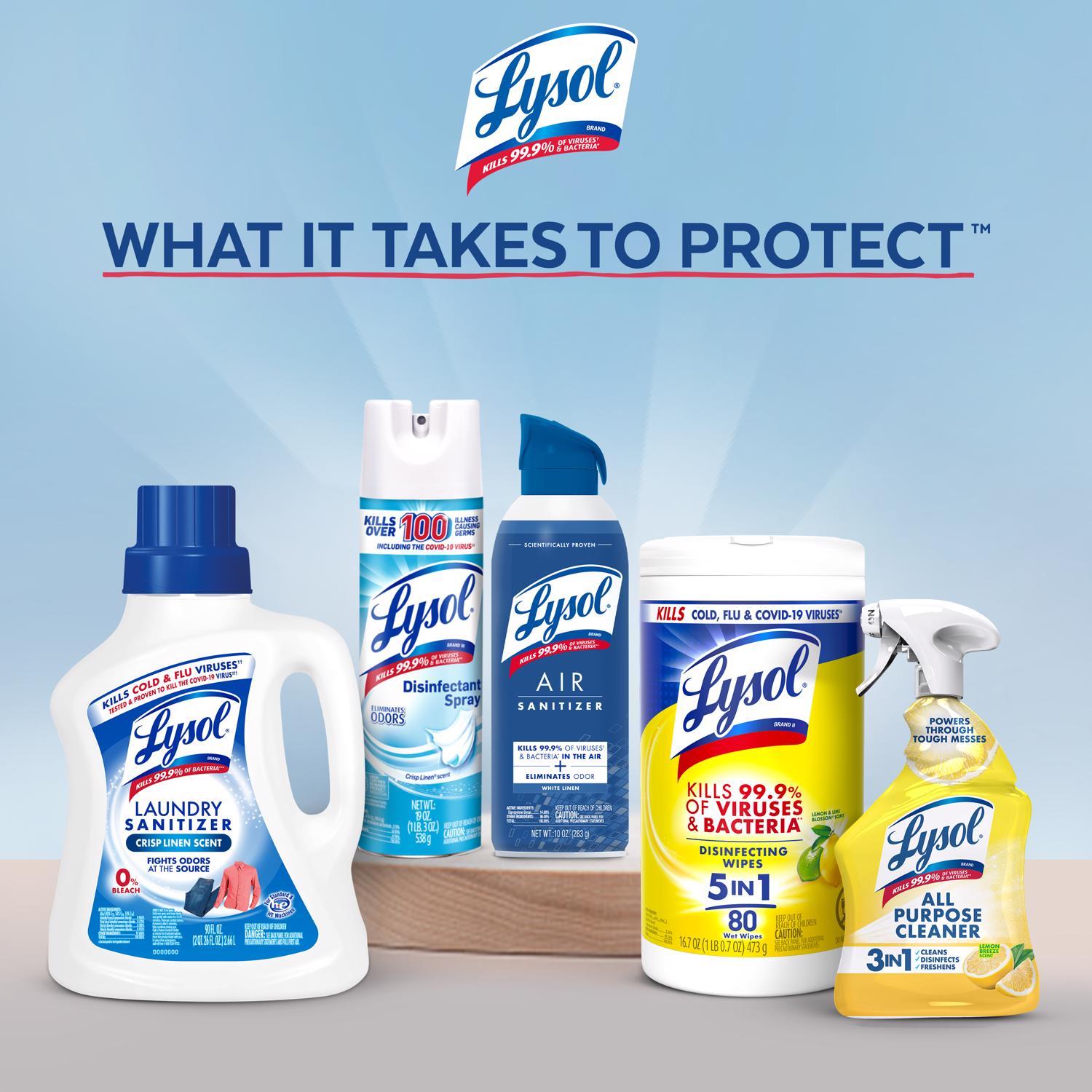 Lysol Mold and Mildew Stain Remover 32 oz