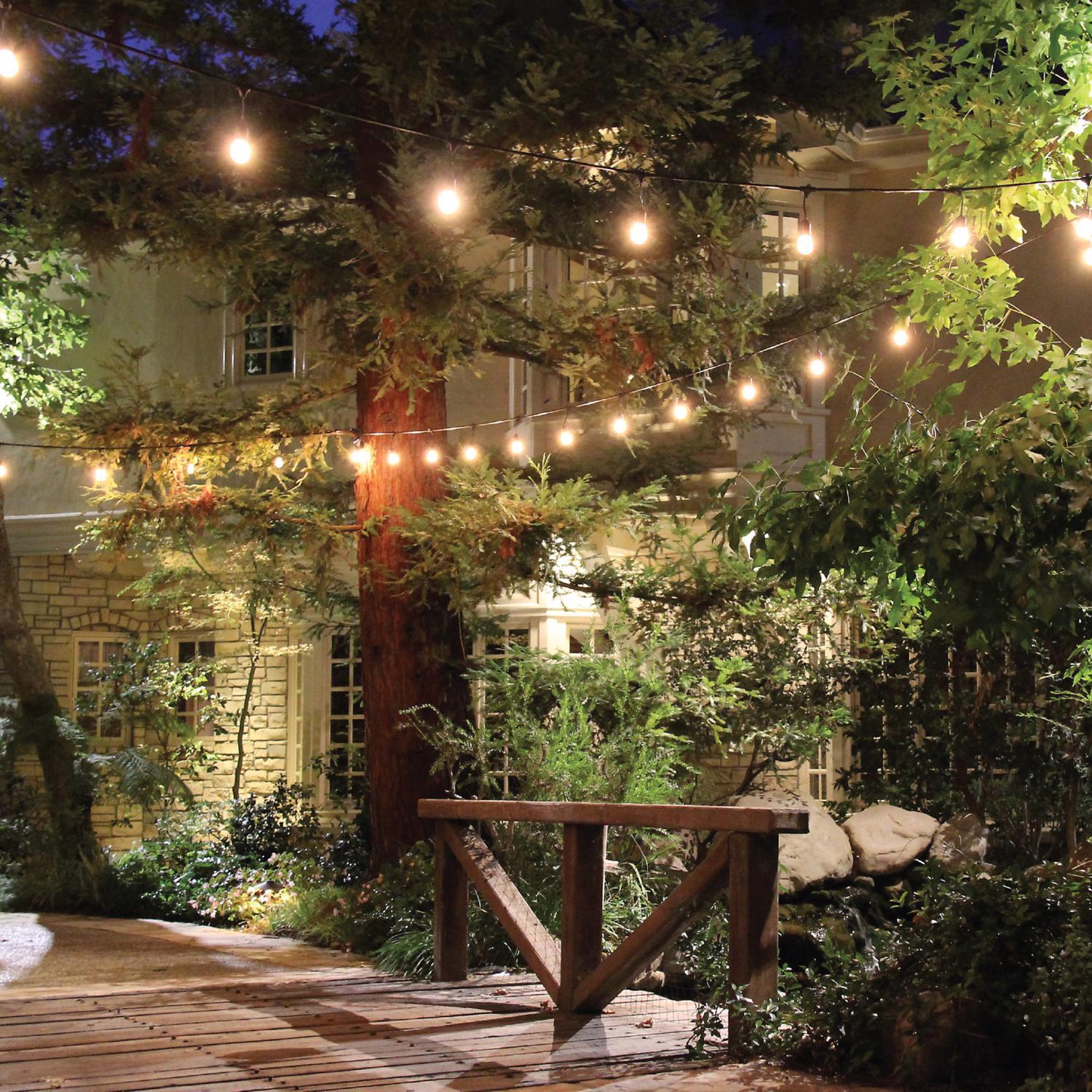 Feit LED Mix N Match Socket String Light Strand Clear 10 ft. 5 lights