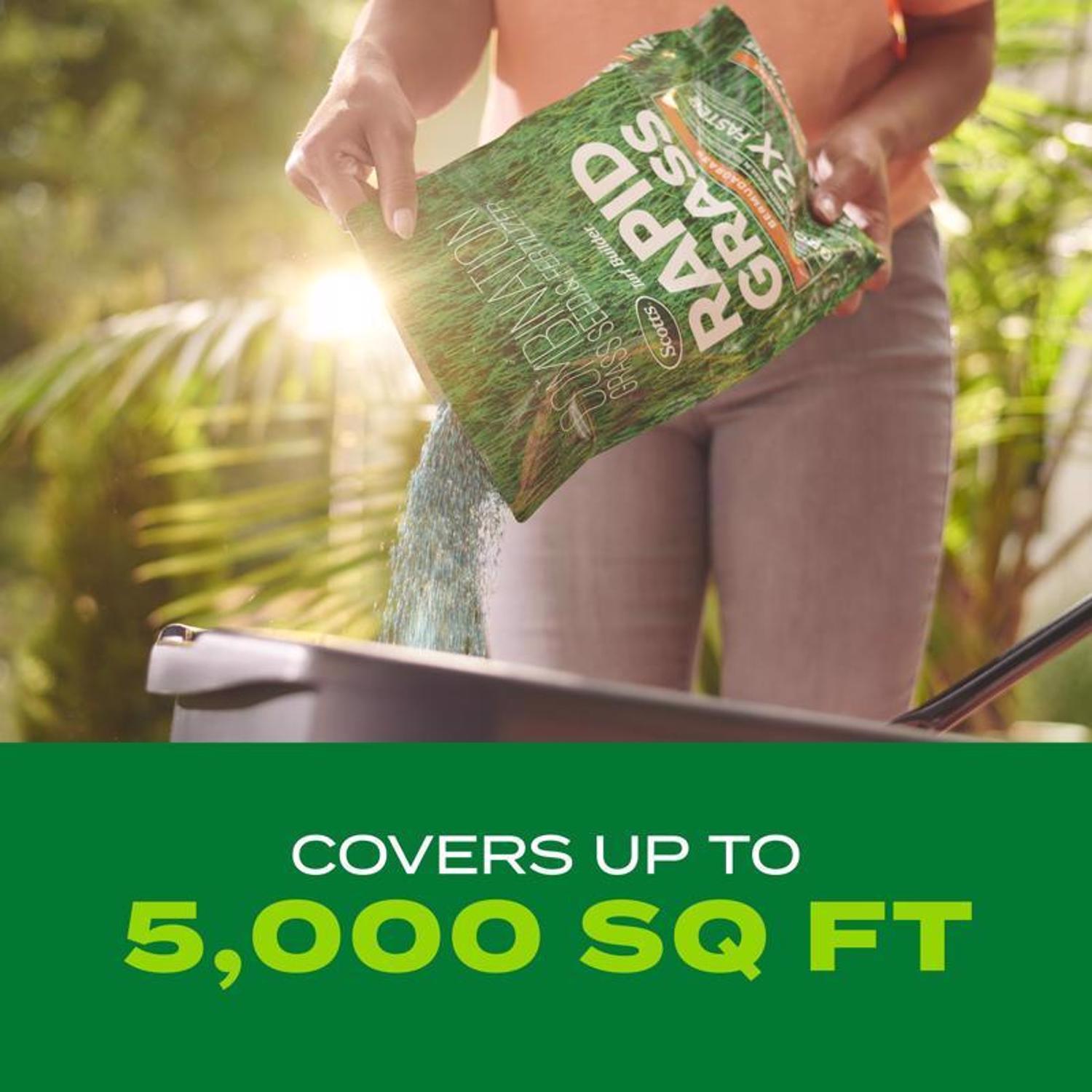 Scotts Turf Builder Rapid Grass Bermuda Grass Sun or Shade Grass Seed and Fertilizer 4 lb