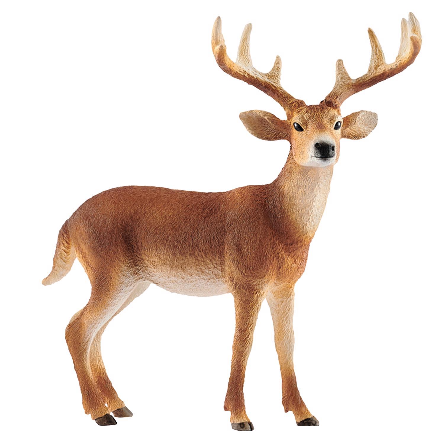 Schleich Wild Life White Tailed Buck Deer Toy Brown