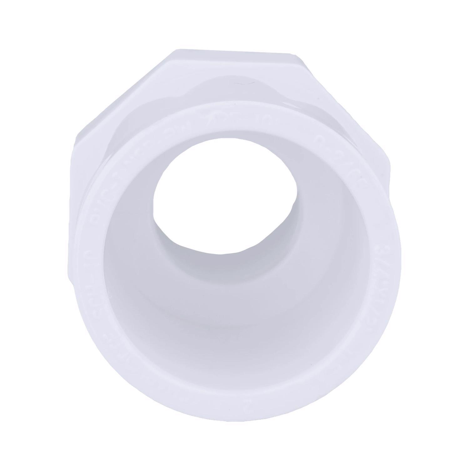 Charlotte Pipe Schedule 40 3/4 in. Slip X 1/2 in. D FPT PVC Pipe Adapter 1 pk