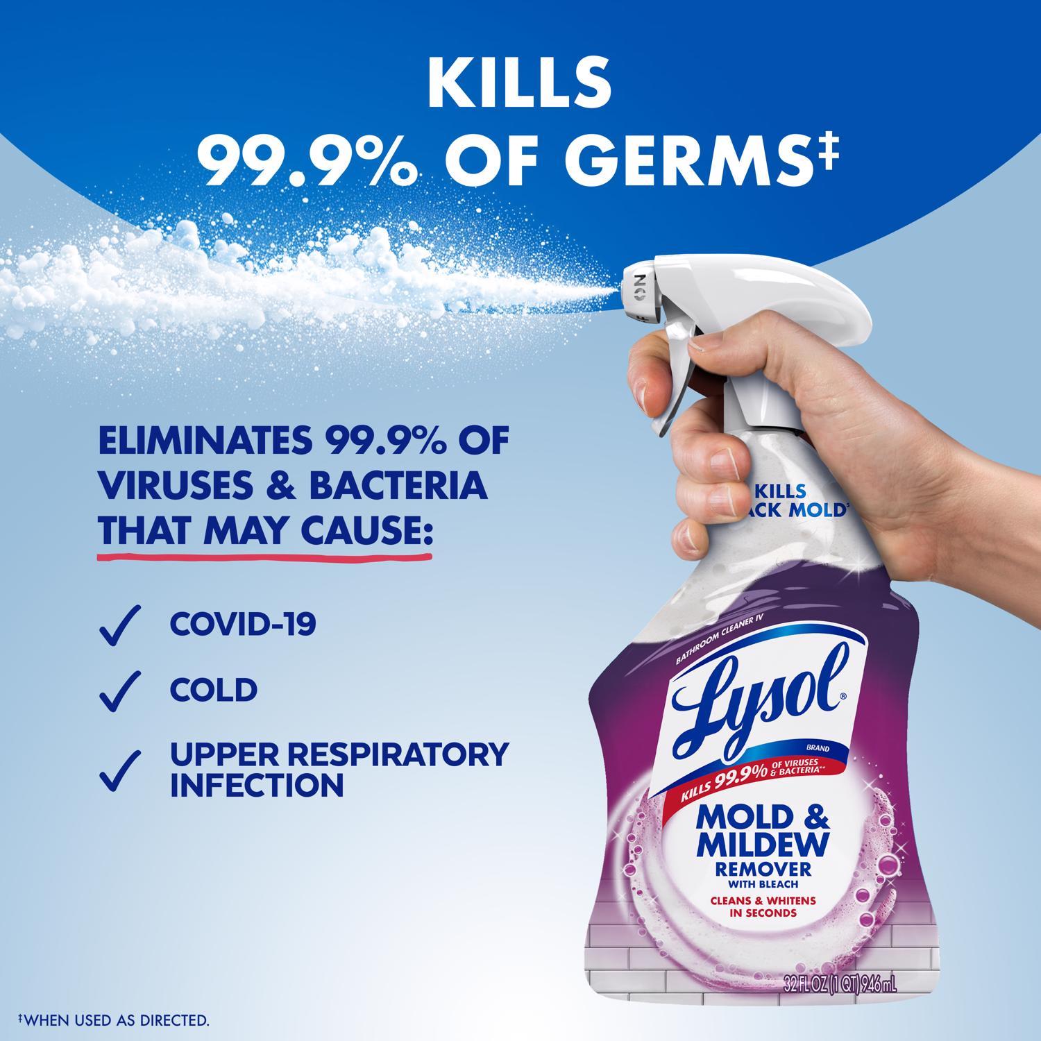 Lysol Mold and Mildew Stain Remover 32 oz