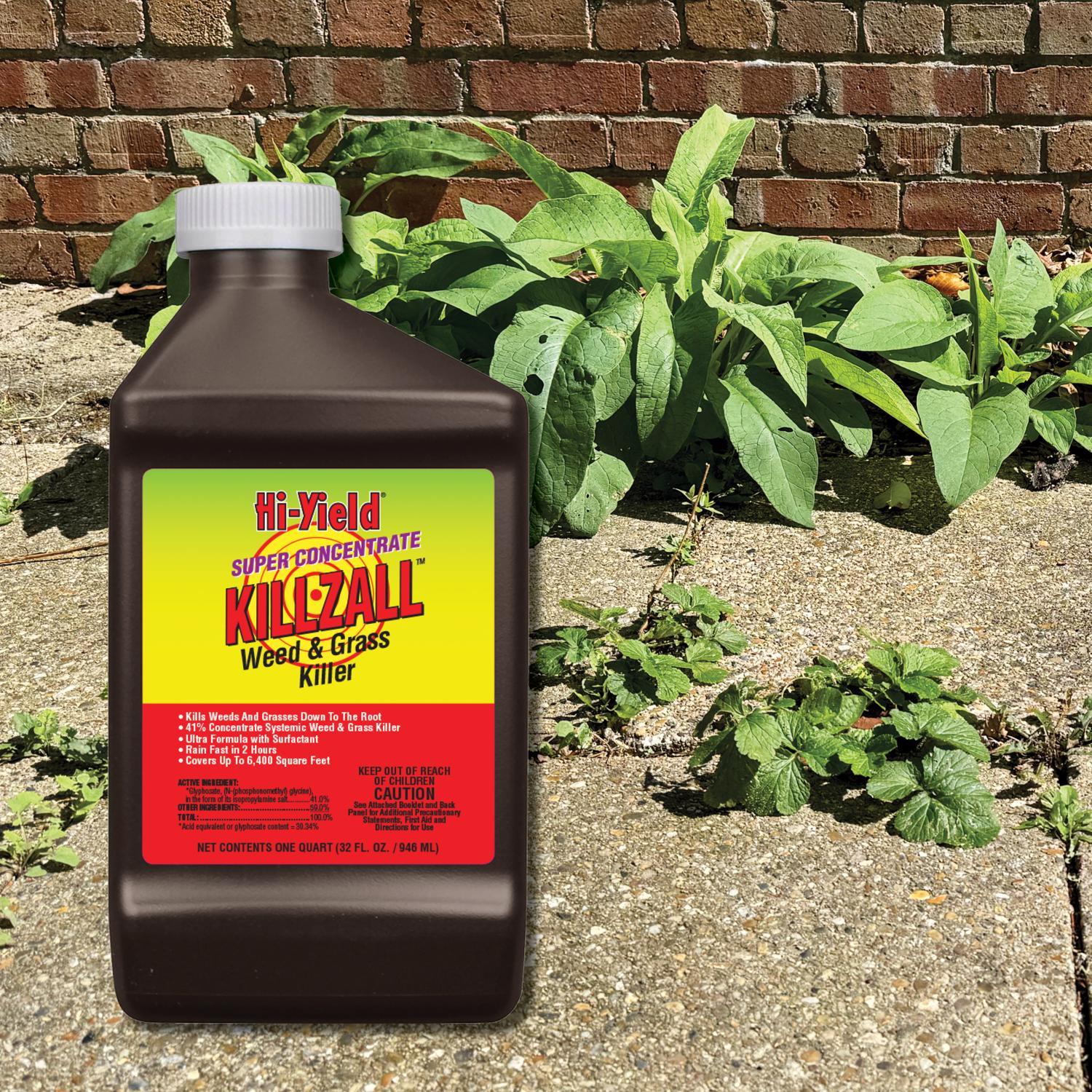 Hi-Yield Killzall Weed and Grass Killer Concentrate 32 oz