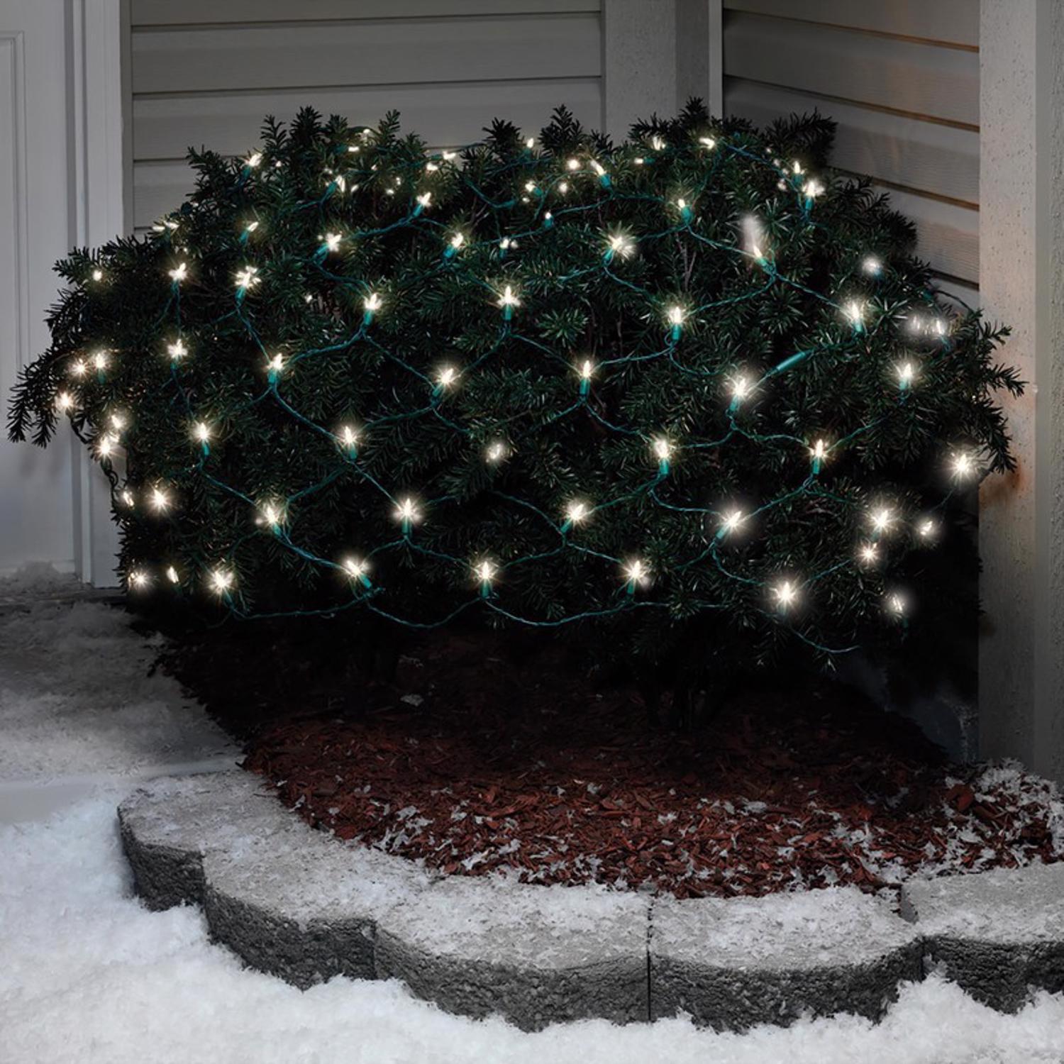 Celebrations Blue LED Mini Cool White 100 ct Net Christmas Lights 24 ft.