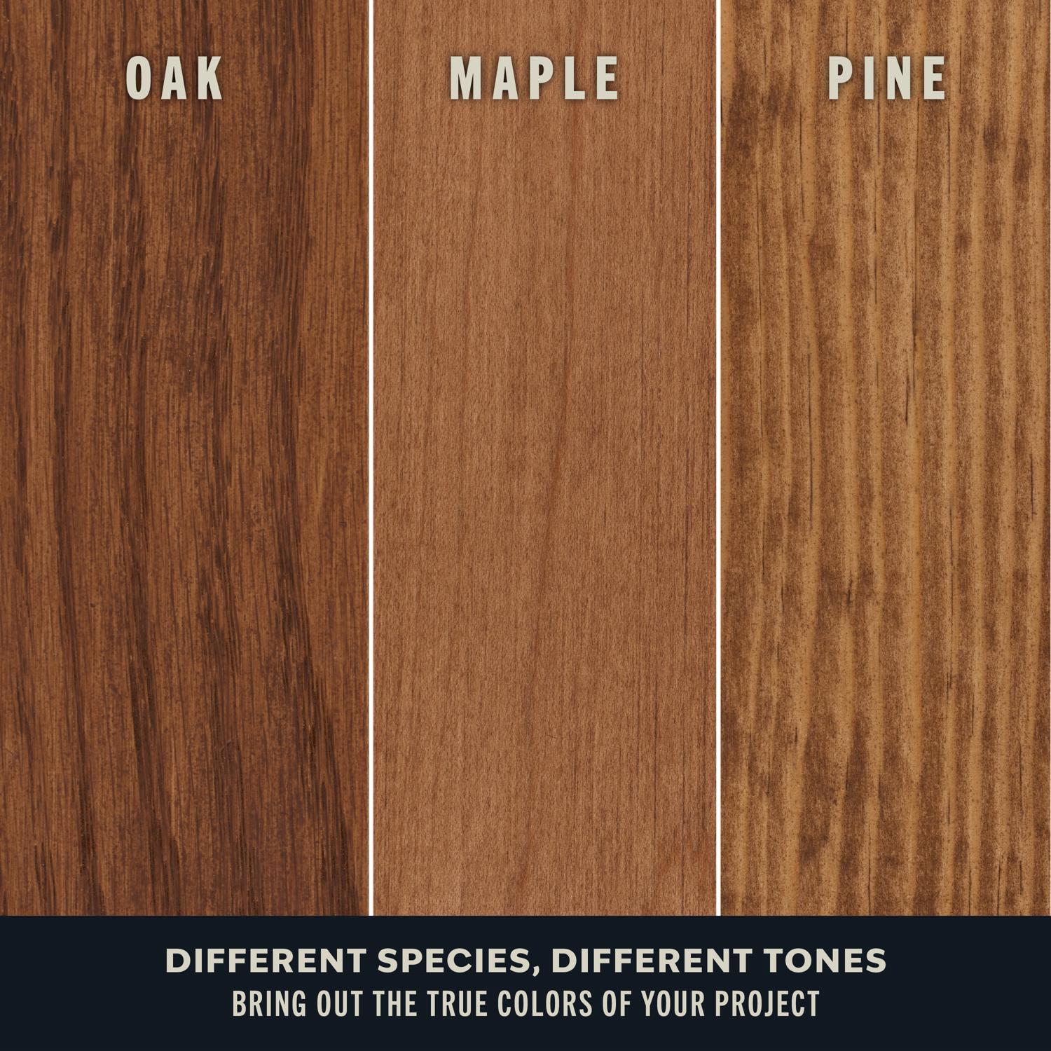 Varathane Premium Early American Oil-Based Fast Dry Wood Stain 1/2 pt