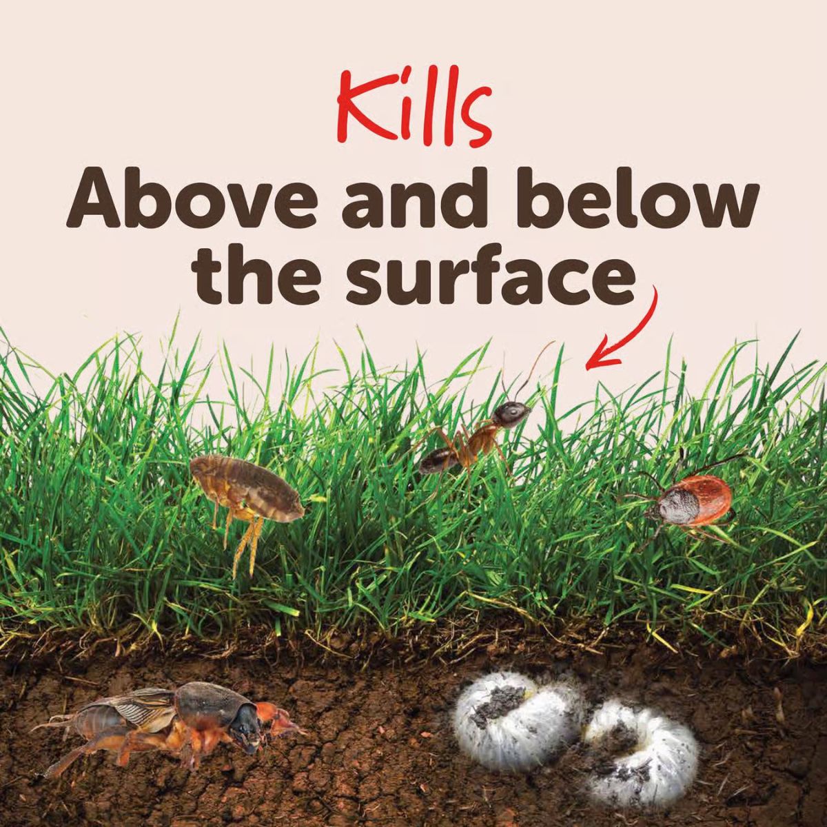 Sevin Insect Killer Granules 3 lb.