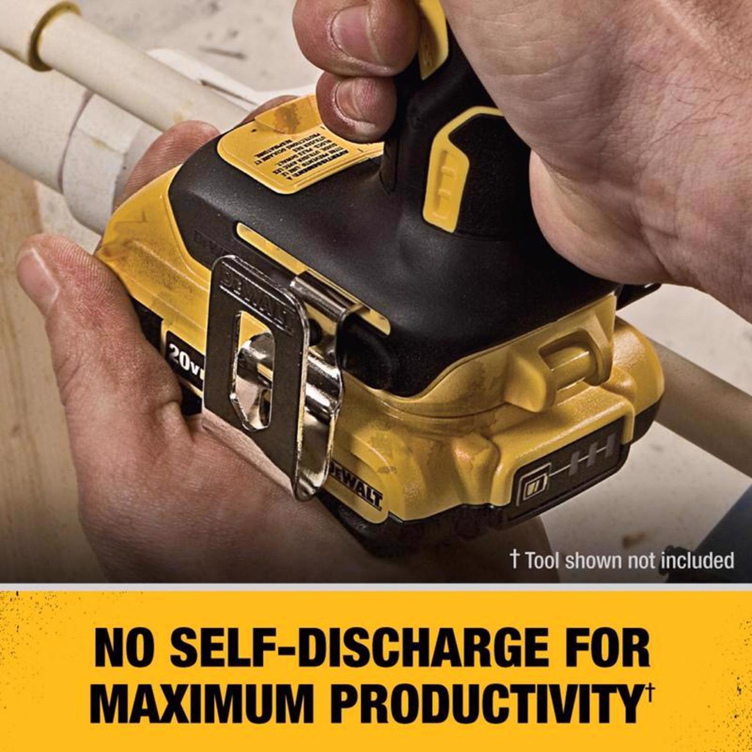 DeWalt 20V MAX DCA2203C Lithium Ion Battery Adapter Kit 4 pc Stine Home Yard The Family You Can Build Around