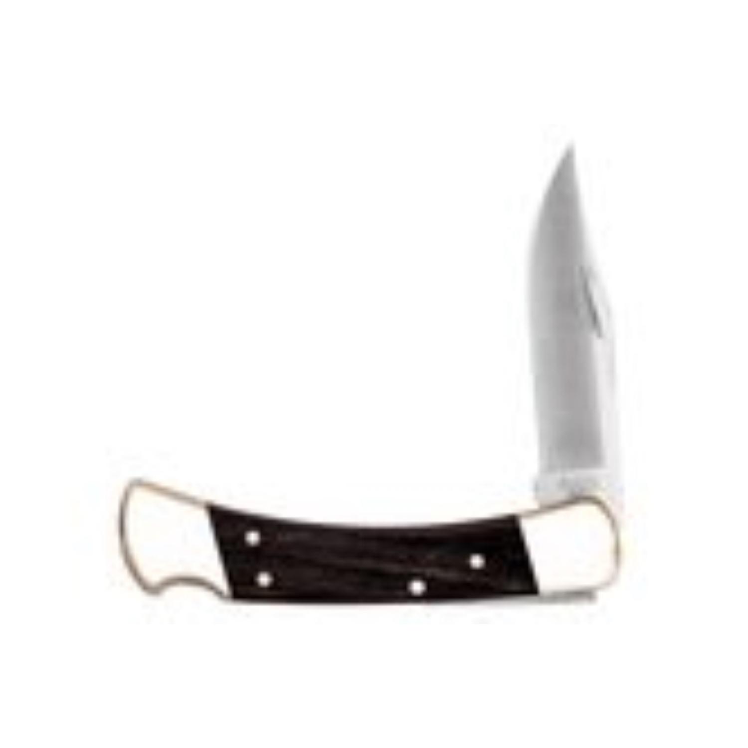 Buck Knives 110 Folding Hunter Black 420 HC Stainless Steel > 6 in. Folding Knife