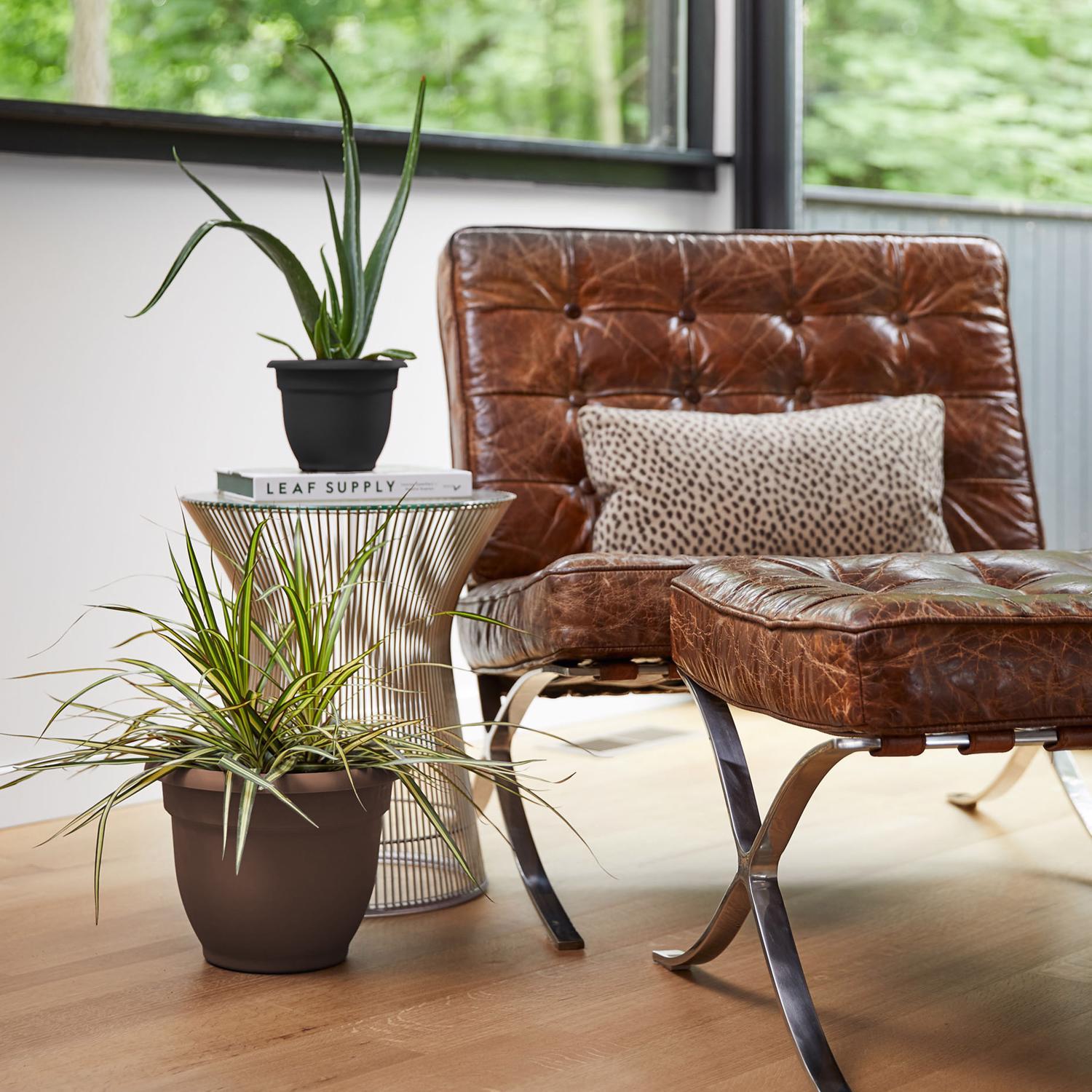 Bloem Ariana 8.5 in. H X 11 in. W Resin Traditional Planter Chocolate