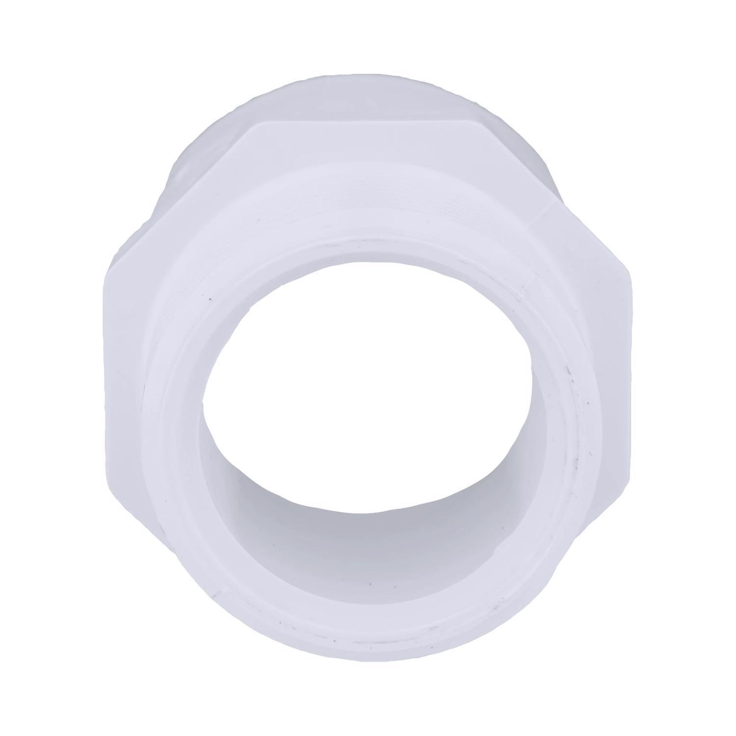 Charlotte Pipe Schedule 40 1-1/4 in. Slip X 1-1/4 in. D MPT PVC Pipe Adapter 1 pk