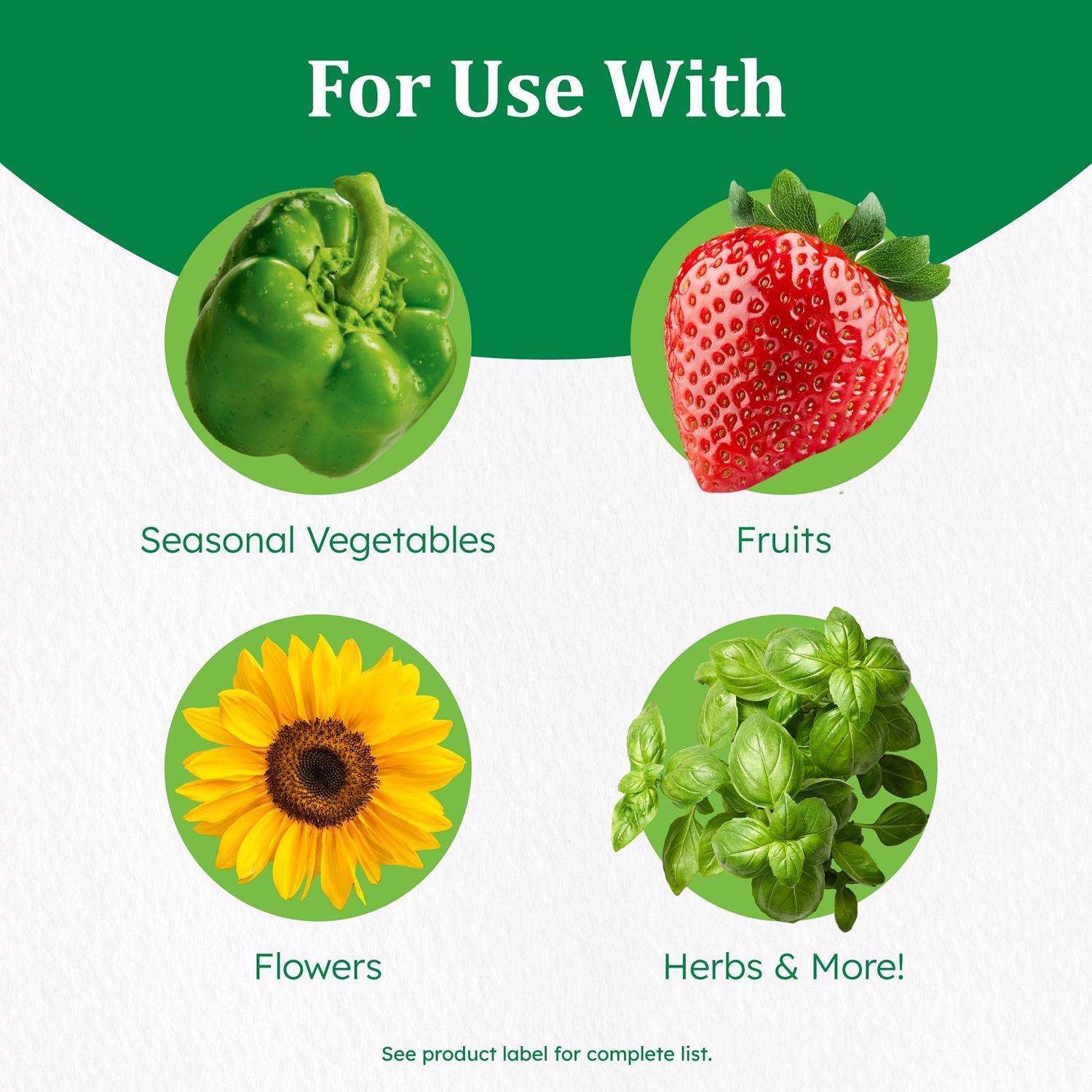 Osmocote Smart-Release Flower & Vegetable Granules Plant Food 1 lb