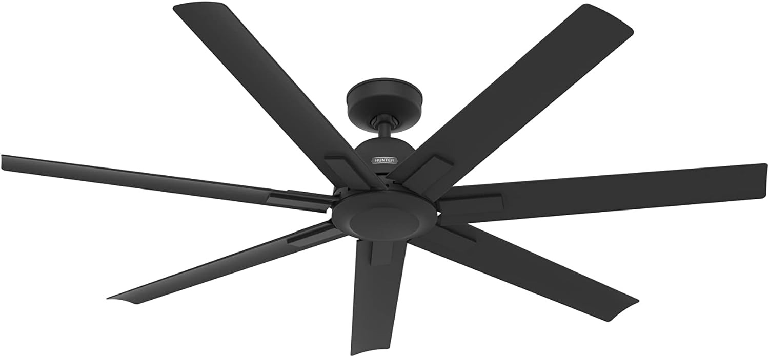 Hunter Fan Downtown Ceiling Fan, Matte Black