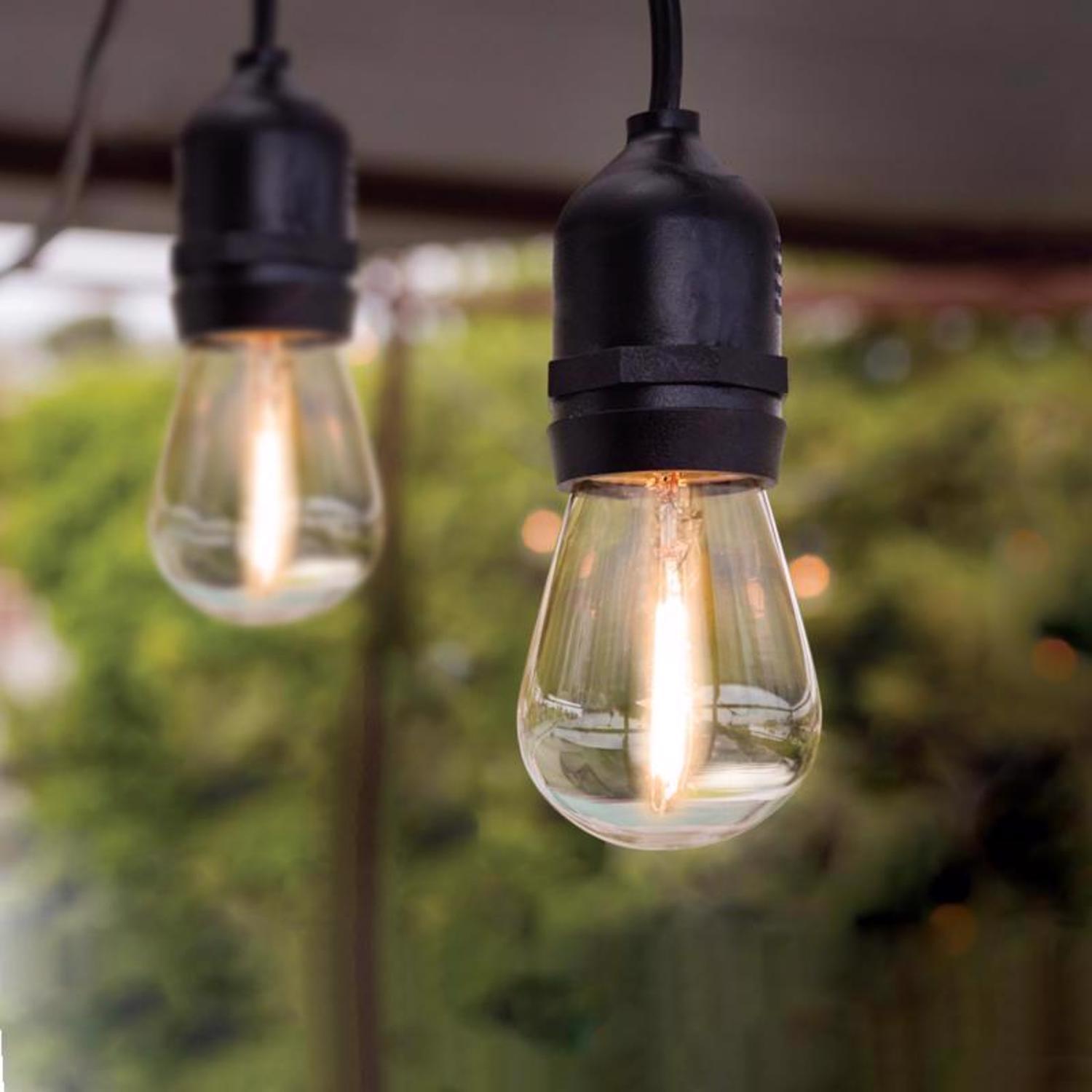 Feit LED Edison LED Light String Clear 20 ft. 10 lights