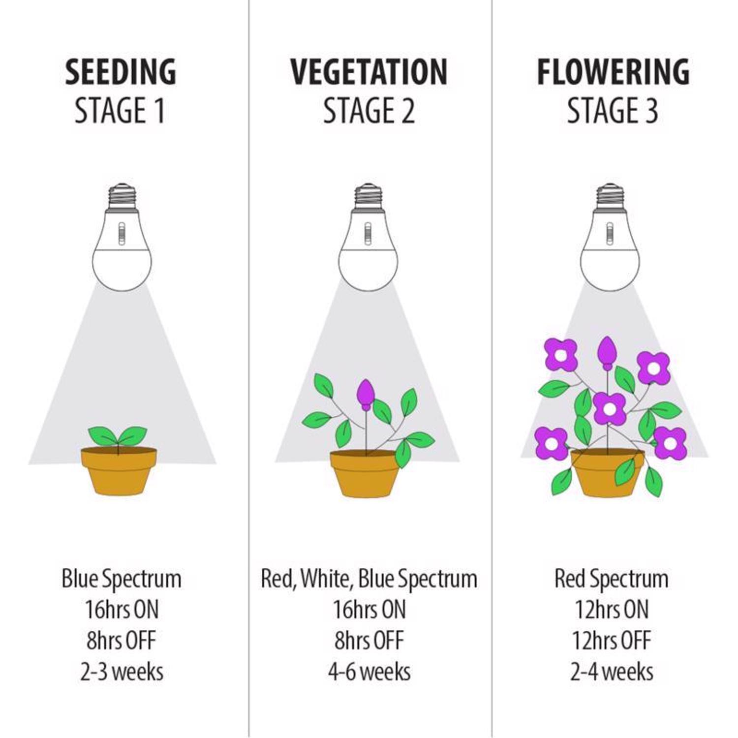 Feit A21 E26 (Medium) LED Grow Light Clear 1 pk