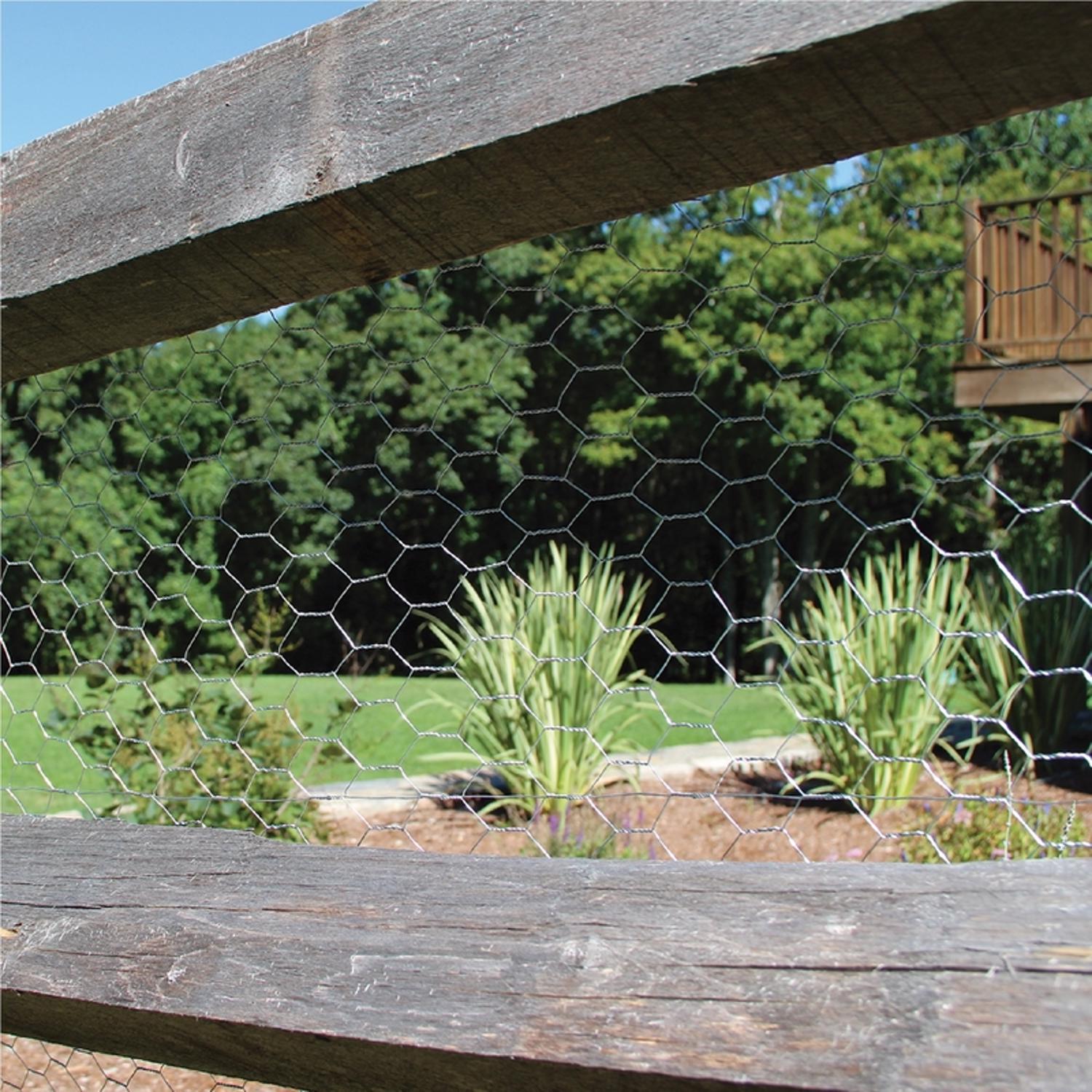 Garden Craft 48in. H x 50in. L Galvanized Steel Poultry Netting 1in.