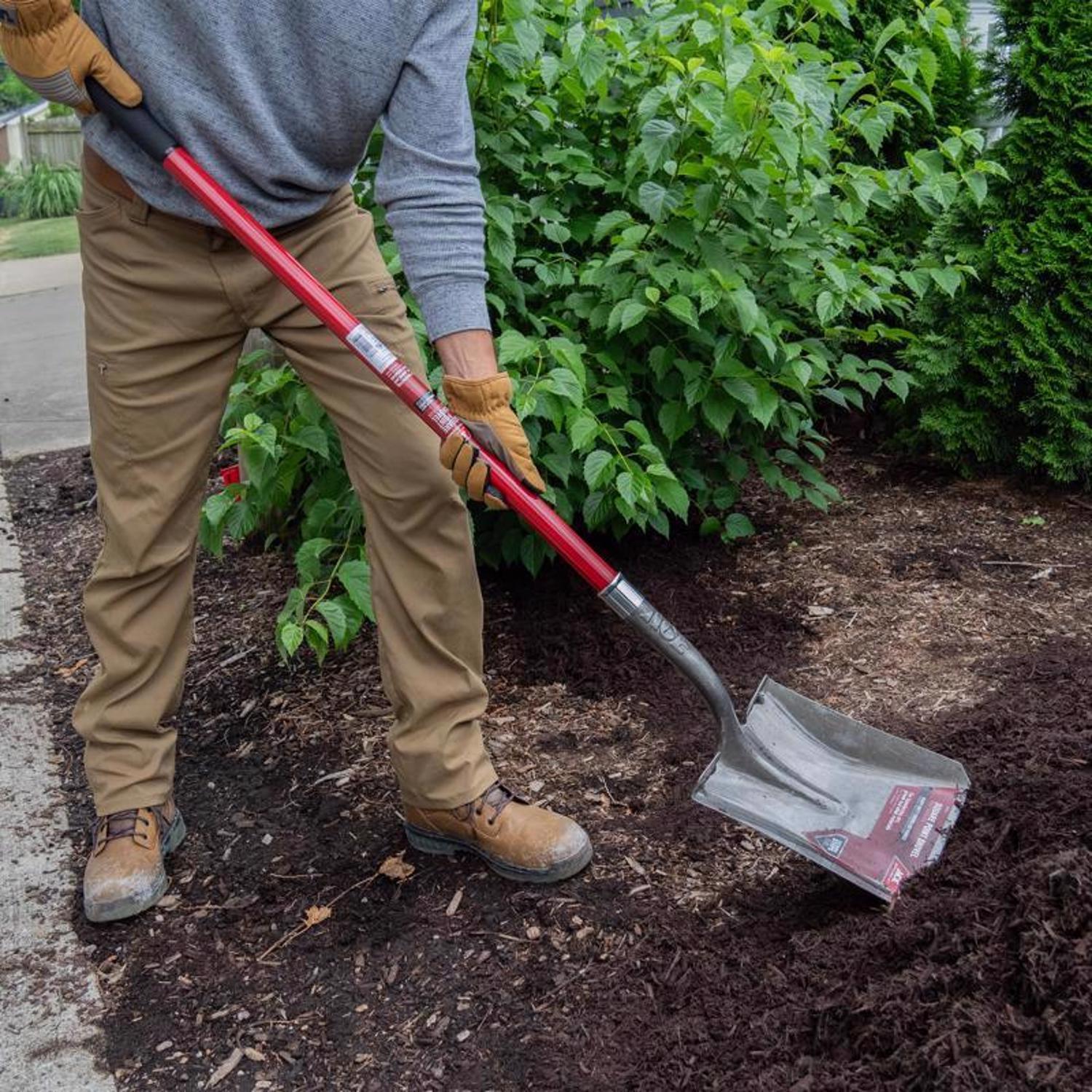 Ace 58 in. Steel Square Transfer Shovel Fiberglass Handle