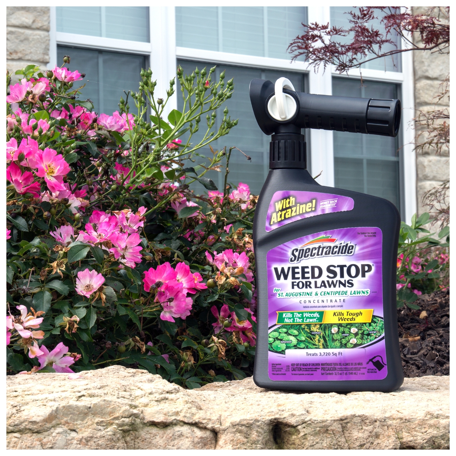 Spectracide Weed Stop Weed Killer RTS HoseEnd Concentrate 32 oz