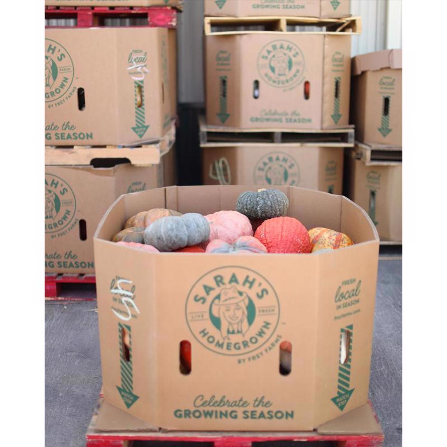 Frey Farms Sarah's Home Grown Autumn Couleur Pumpkin