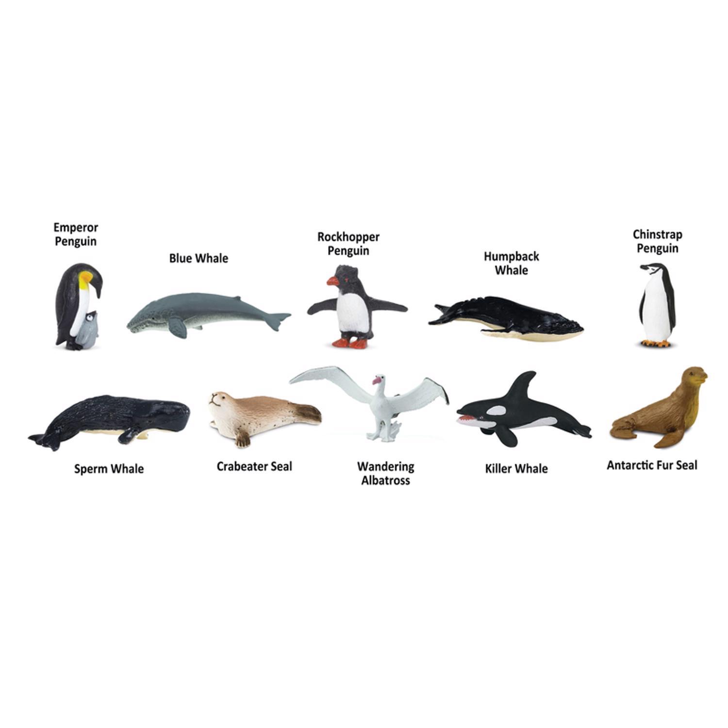Safari Ltd. Toobs Antarctica Toob Toy Assorted 10 pc