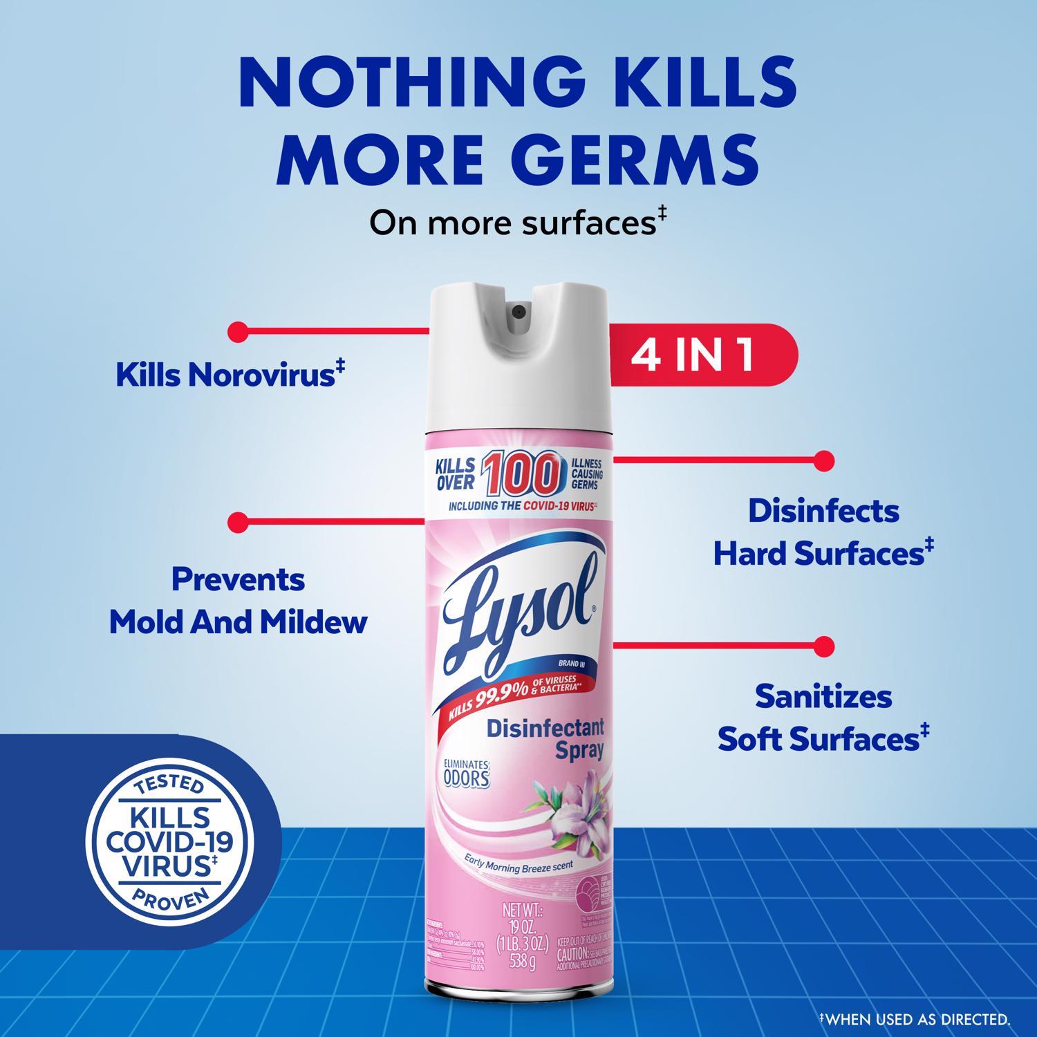 Lysol Early Morning Breeze Scent Disinfectant Spray 12.5 oz 1 pk