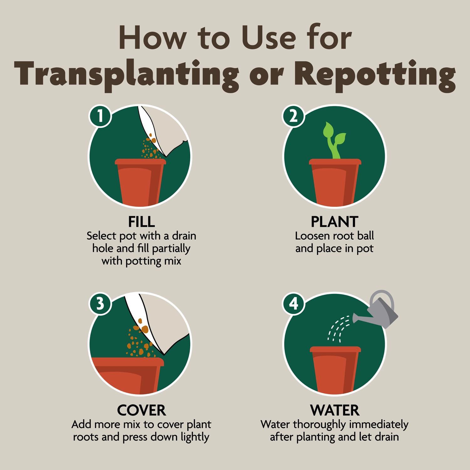 Miracle-Gro Organic Indoor Plant Potting Mix 16 qt