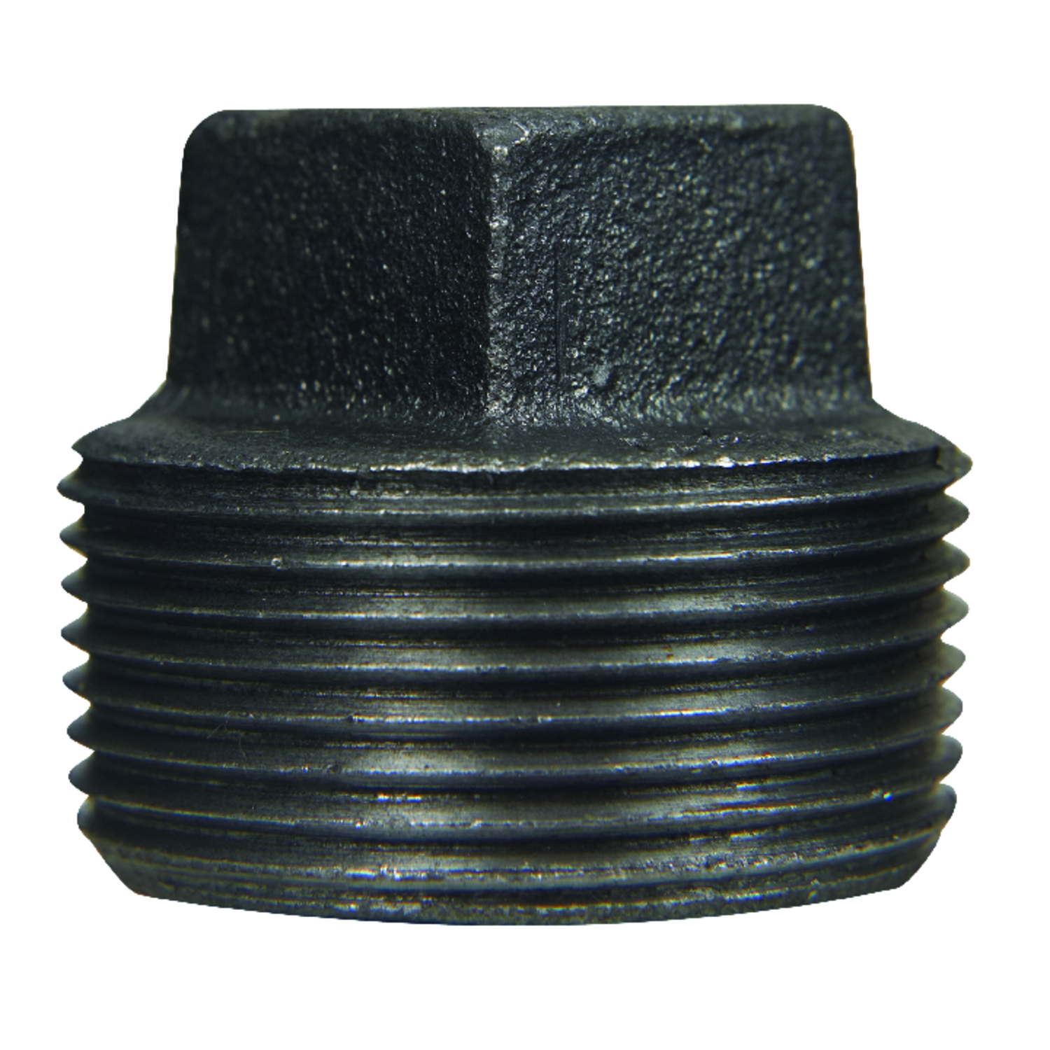STZ Industries 1 in. MIP each Black Malleable Iron Plug