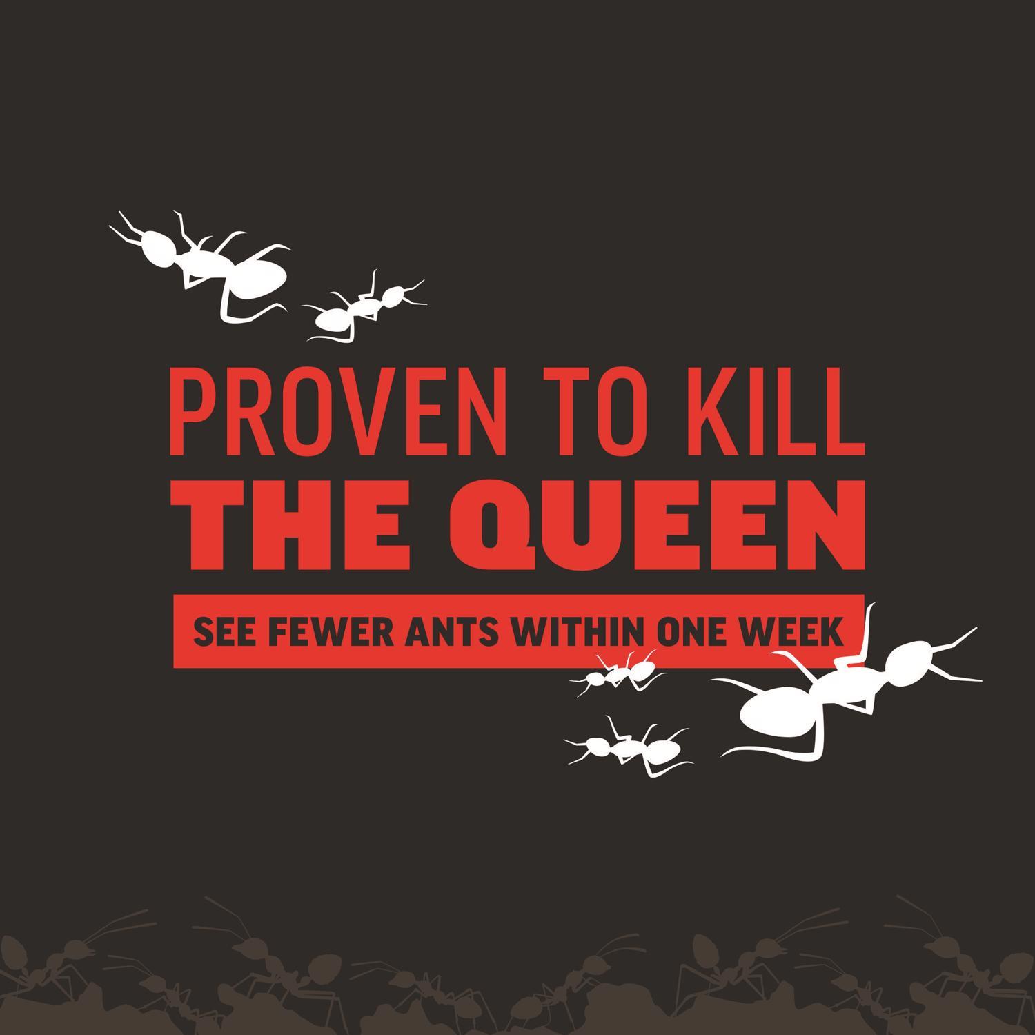 Amdro Ant Block Insect Killer 24 oz