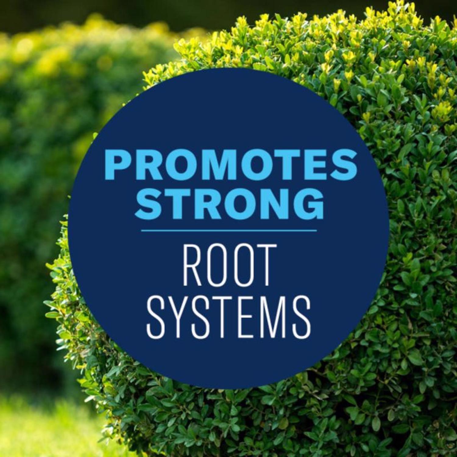 BioAdvanced Shrub Care Granules Protect & Feed 4 lb