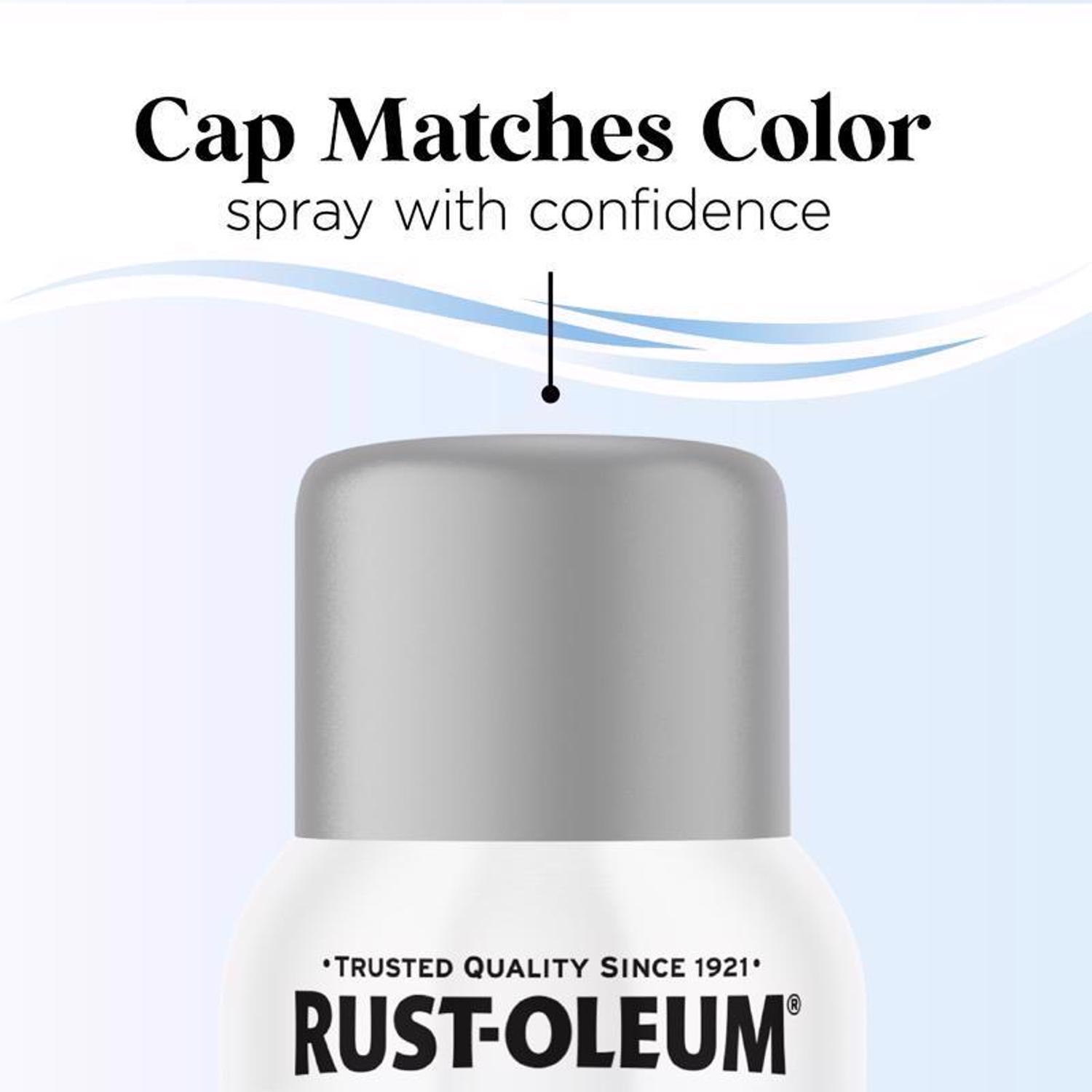 Rust-Oleum Low Odor Matte Dolphin Gray Spray Paint 11 oz.