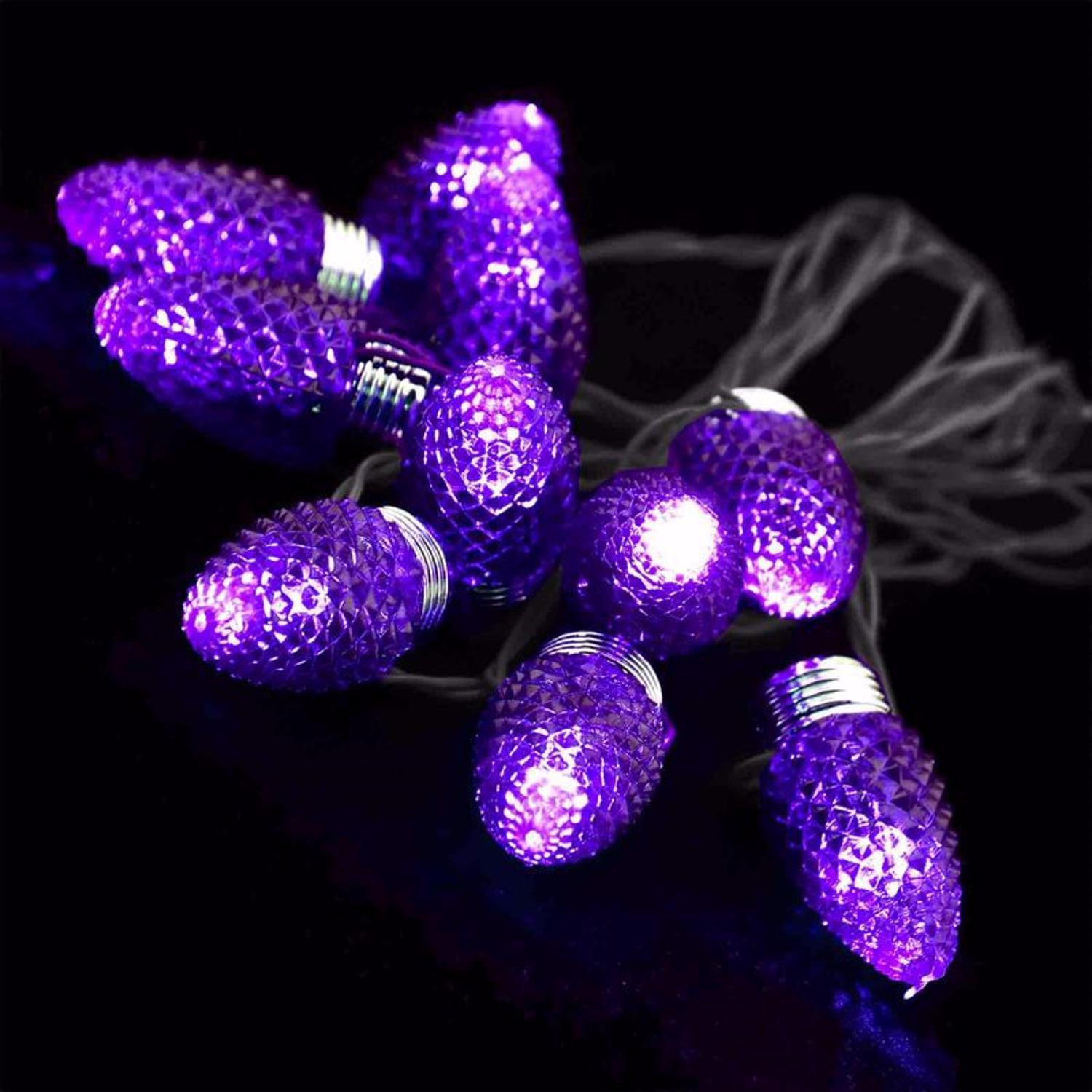 Magic Seasons Orange/Purple 9 in. Prelit String Lights