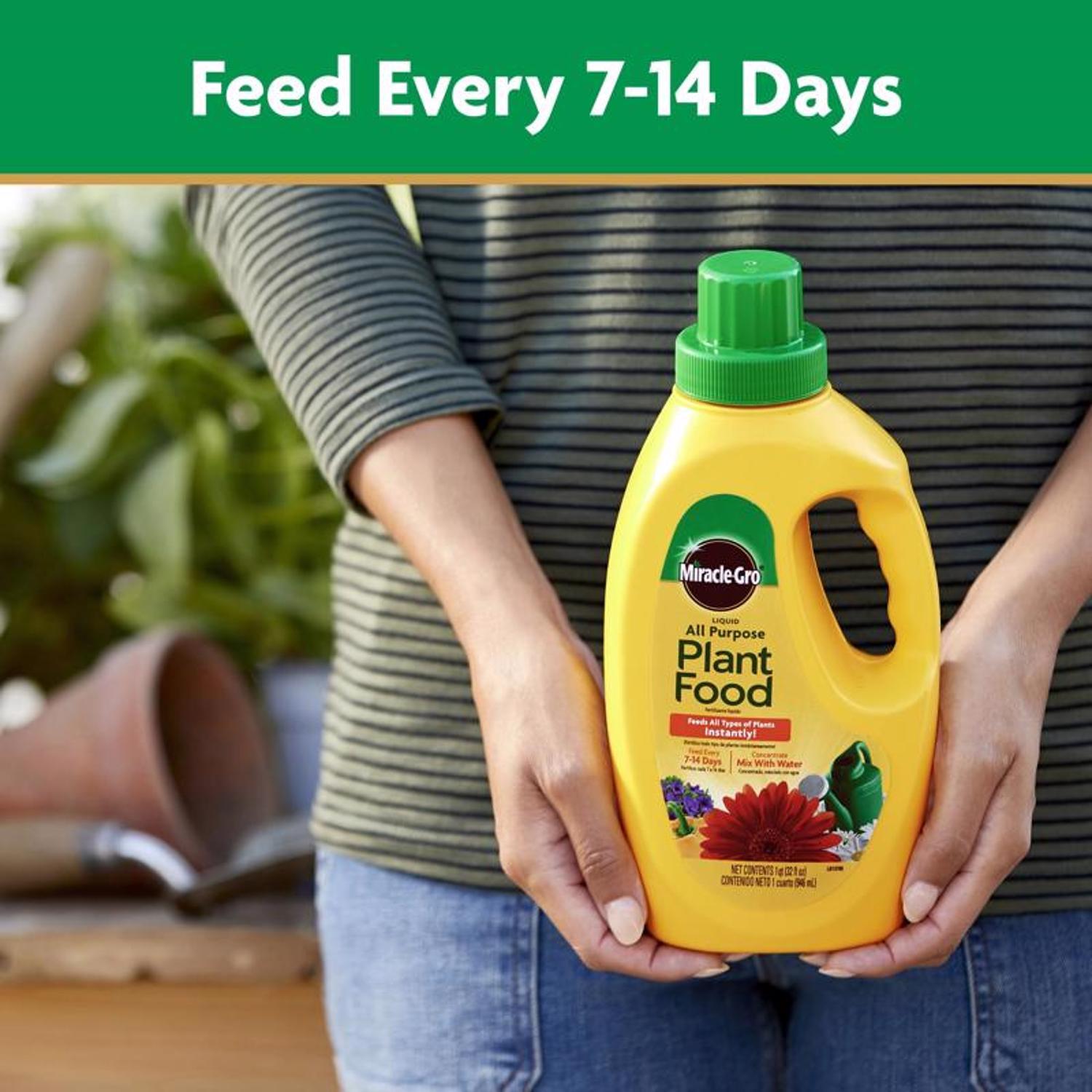 Miracle-Gro Liquid Plant Food 1 qt