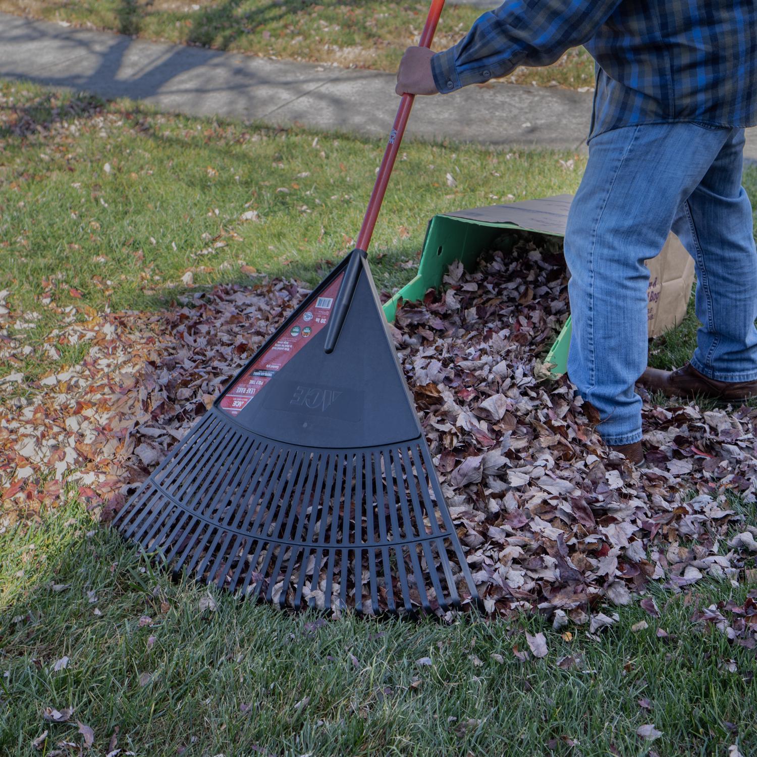 Ace 69.75 in. 30 Tine Poly Rake Fiberglass Handle