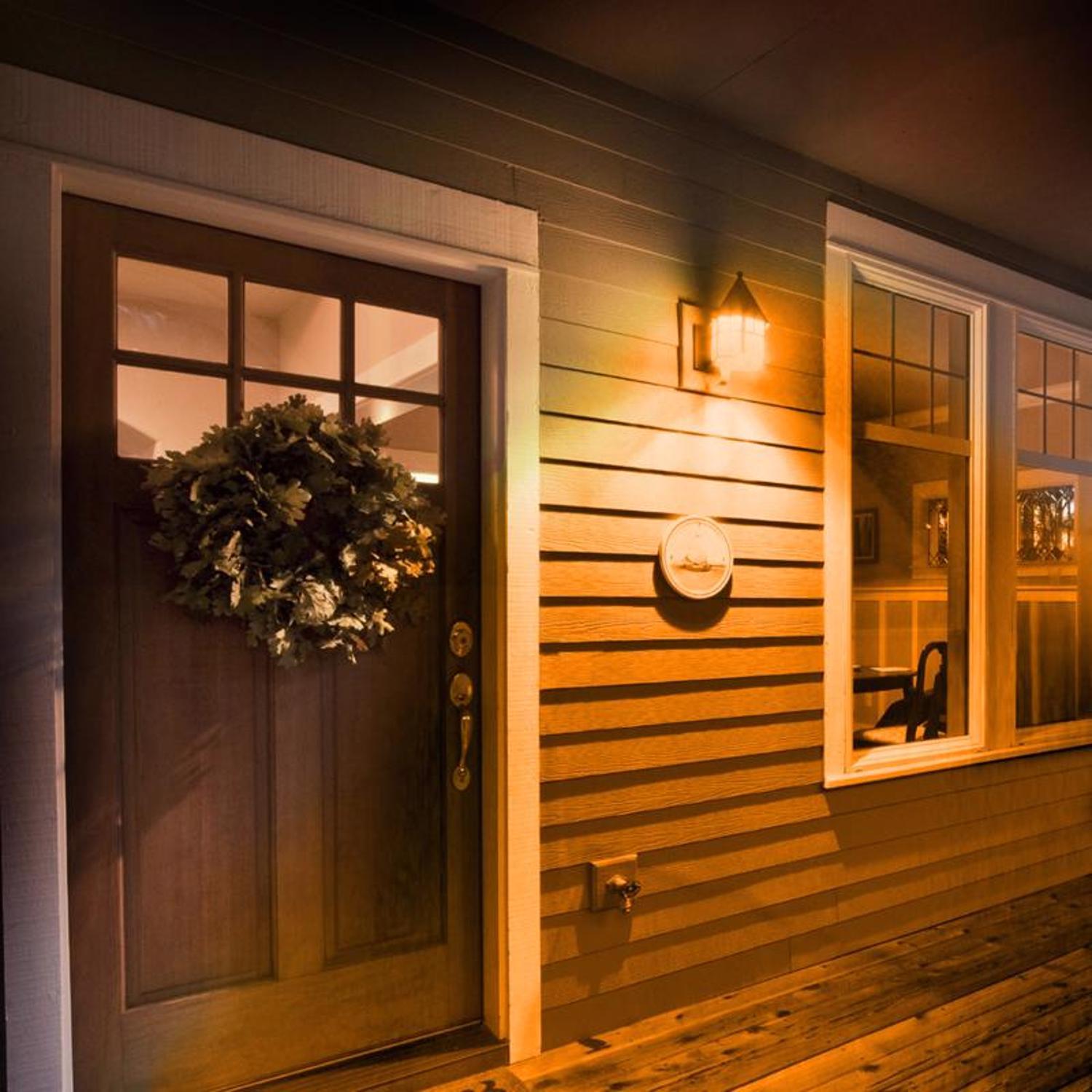 Feit A19 E26 (Medium) Filament LED Bulb Orange 30 Watt Equivalence 1 pk