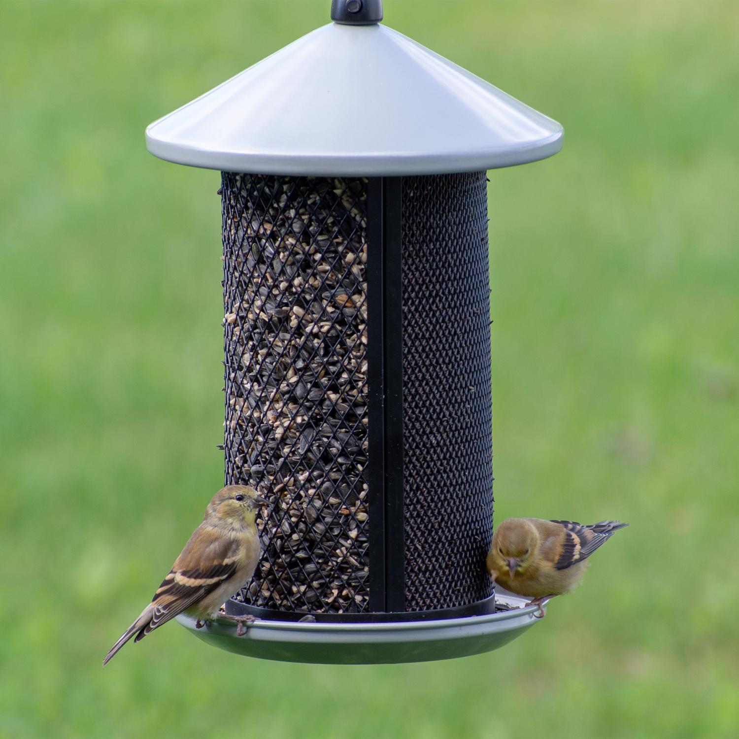 Perky-Pet Wild Bird and Finch 2.85 lb Metal Dual Mesh Bird Feeder