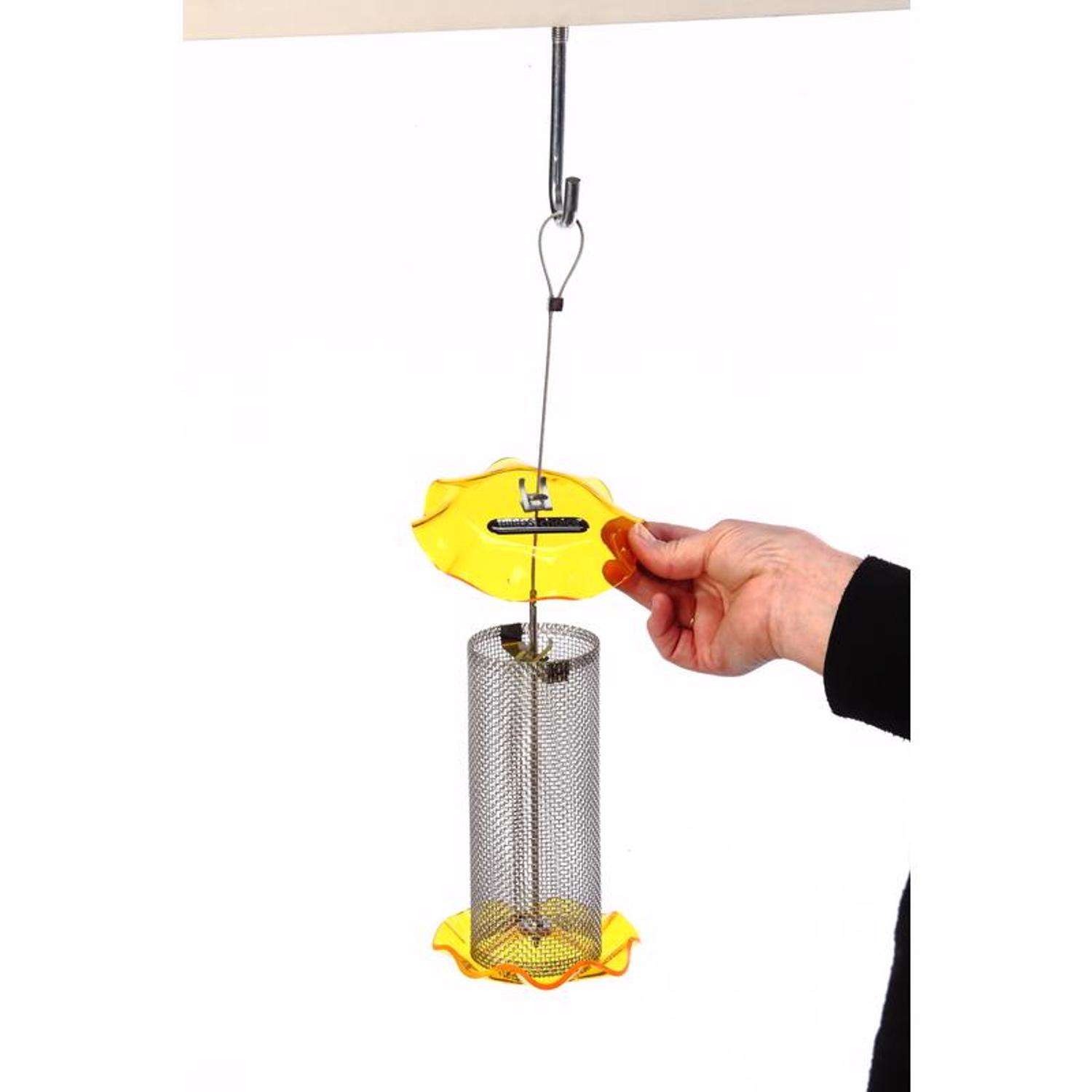 Birds Choice Forever Fin. 1 qt Plastic Magnet Mesh Tube Bird Feeder
