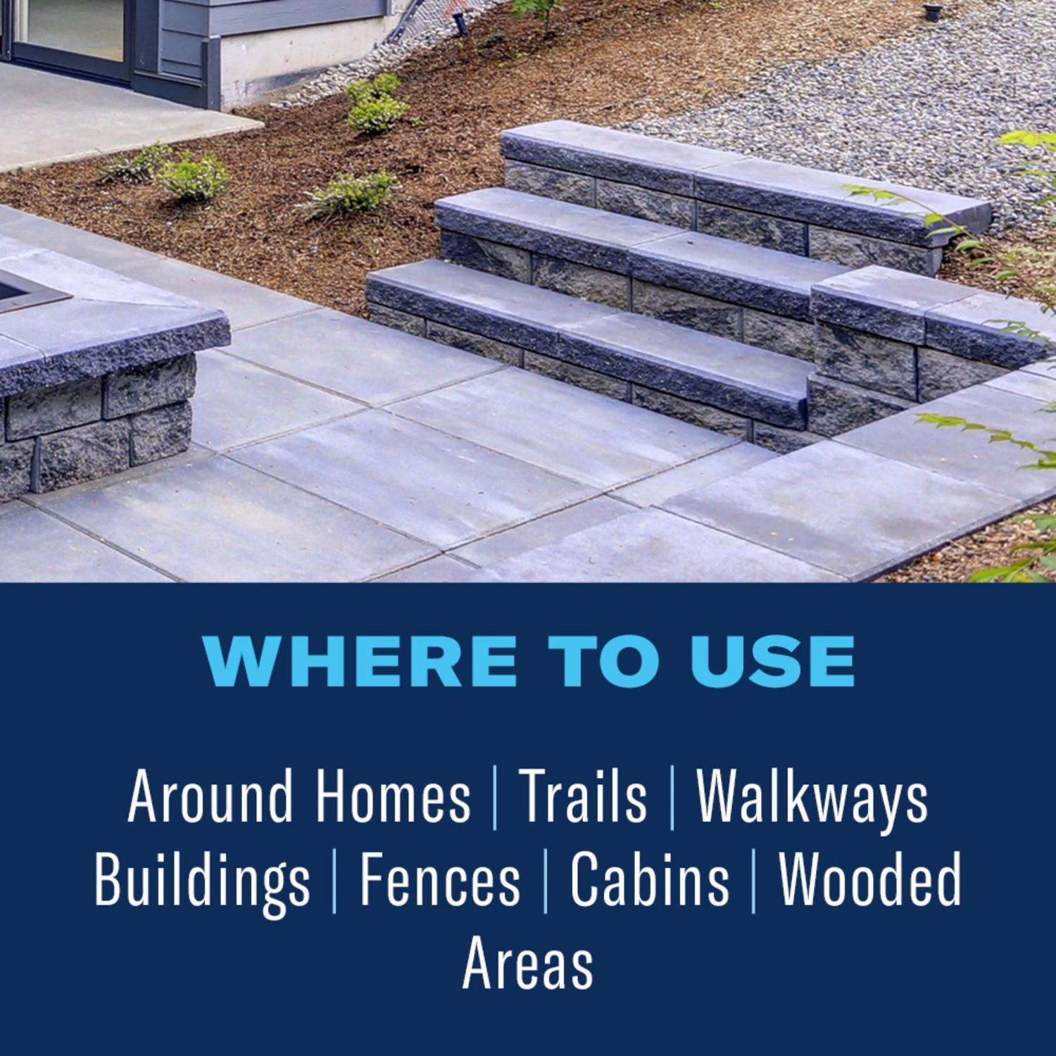 BioAdvanced Brush Killer Concentrate 32 oz