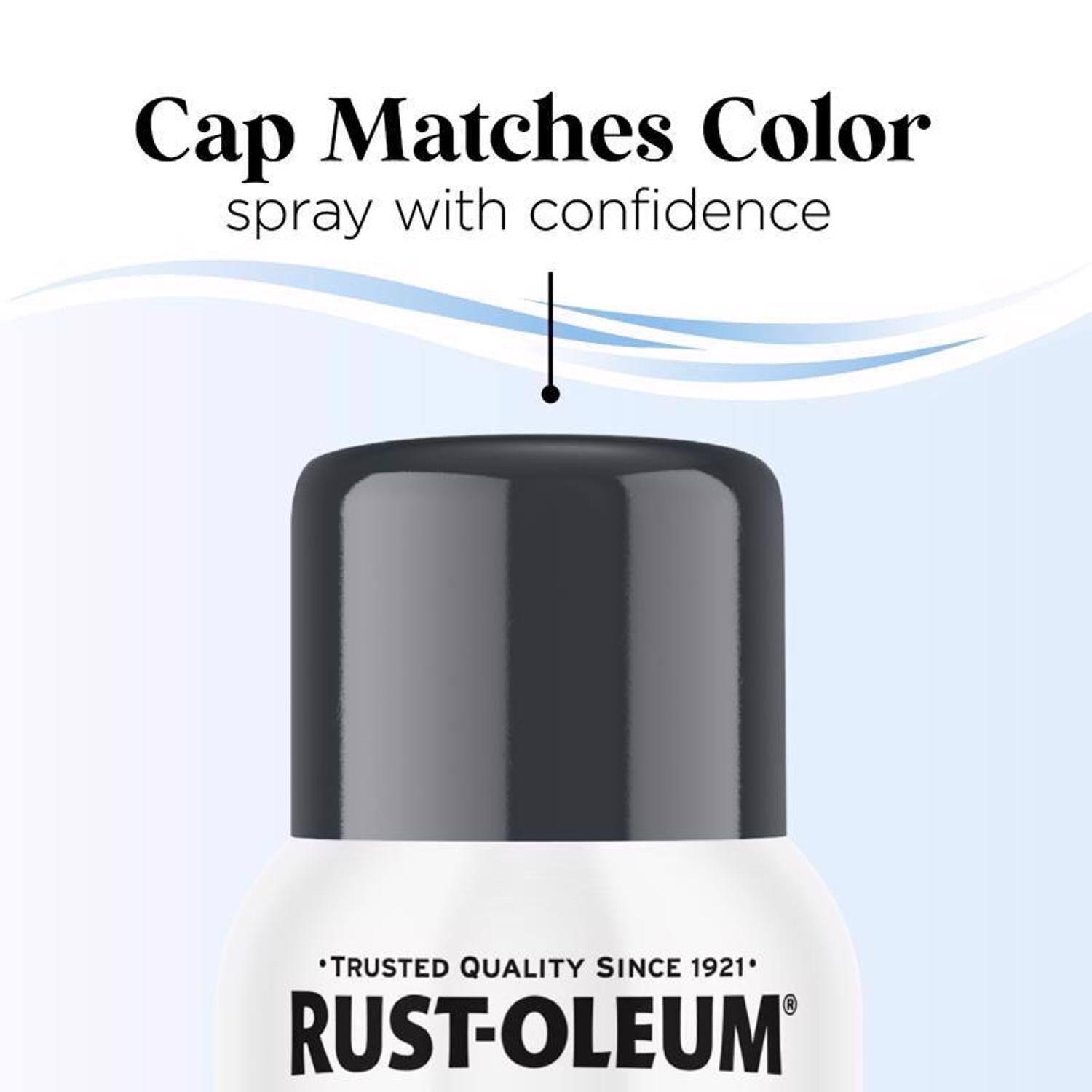 Rust-Oleum Low Odor Gloss Anchor Gray Spray Paint 11 oz.