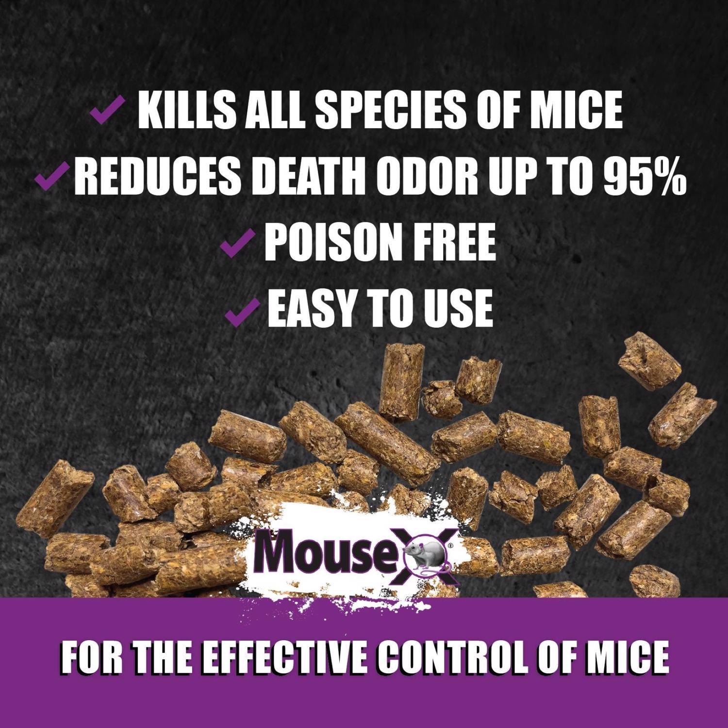 MouseX Non-Toxic Bait Pellets For Mice 8 oz 1 pk